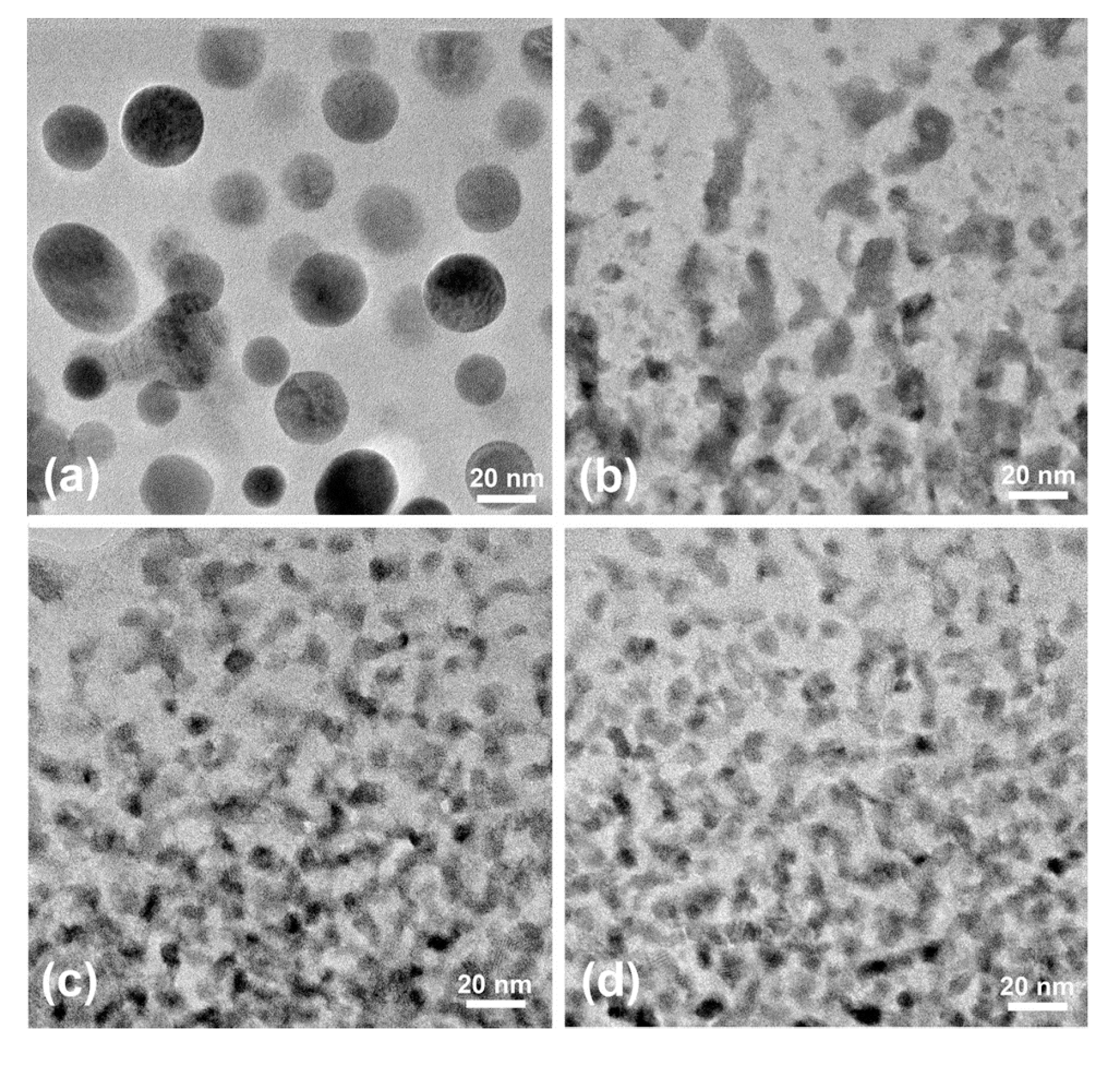 Coatings 10 01170 g009