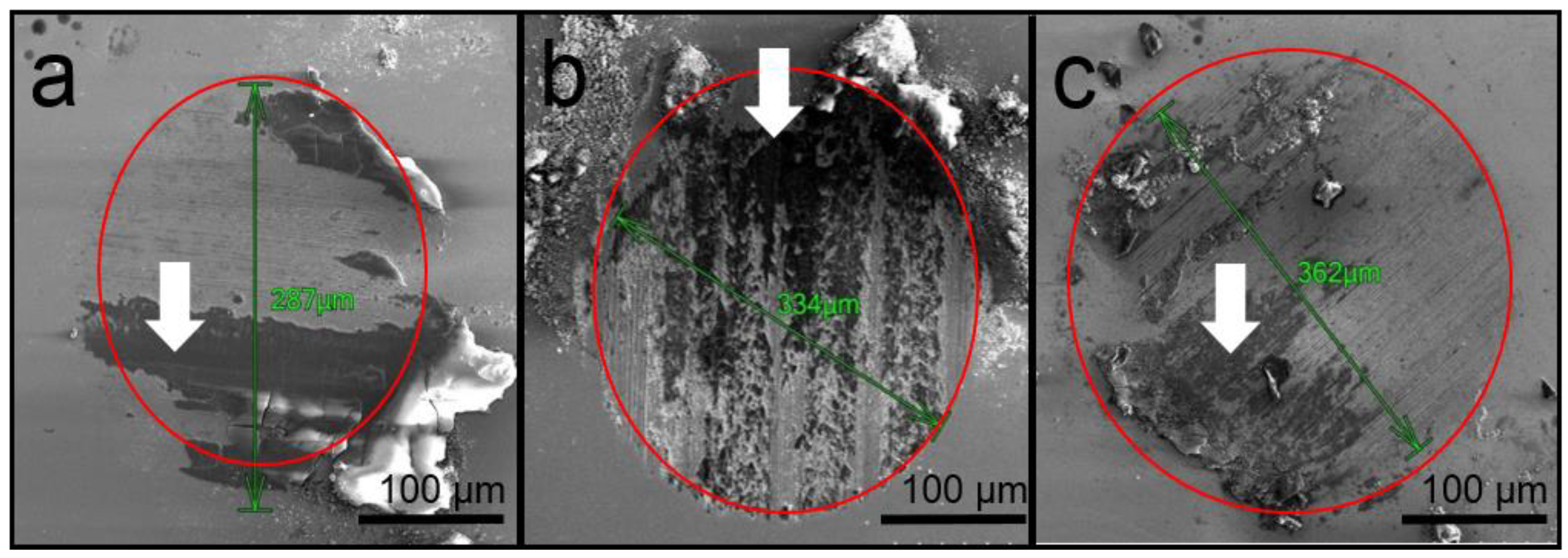 Coatings 10 01176 g006