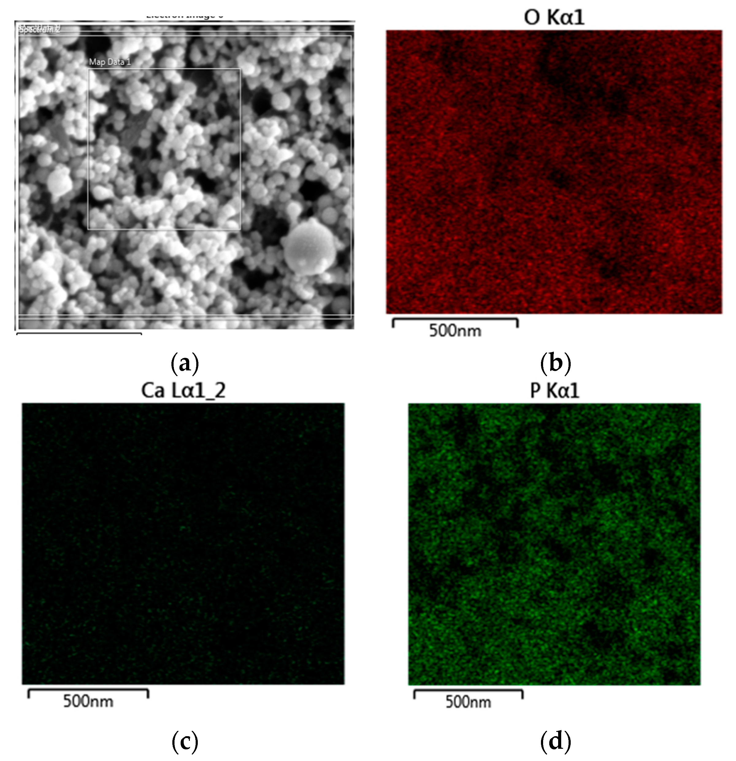 Coatings 10 01181 g002