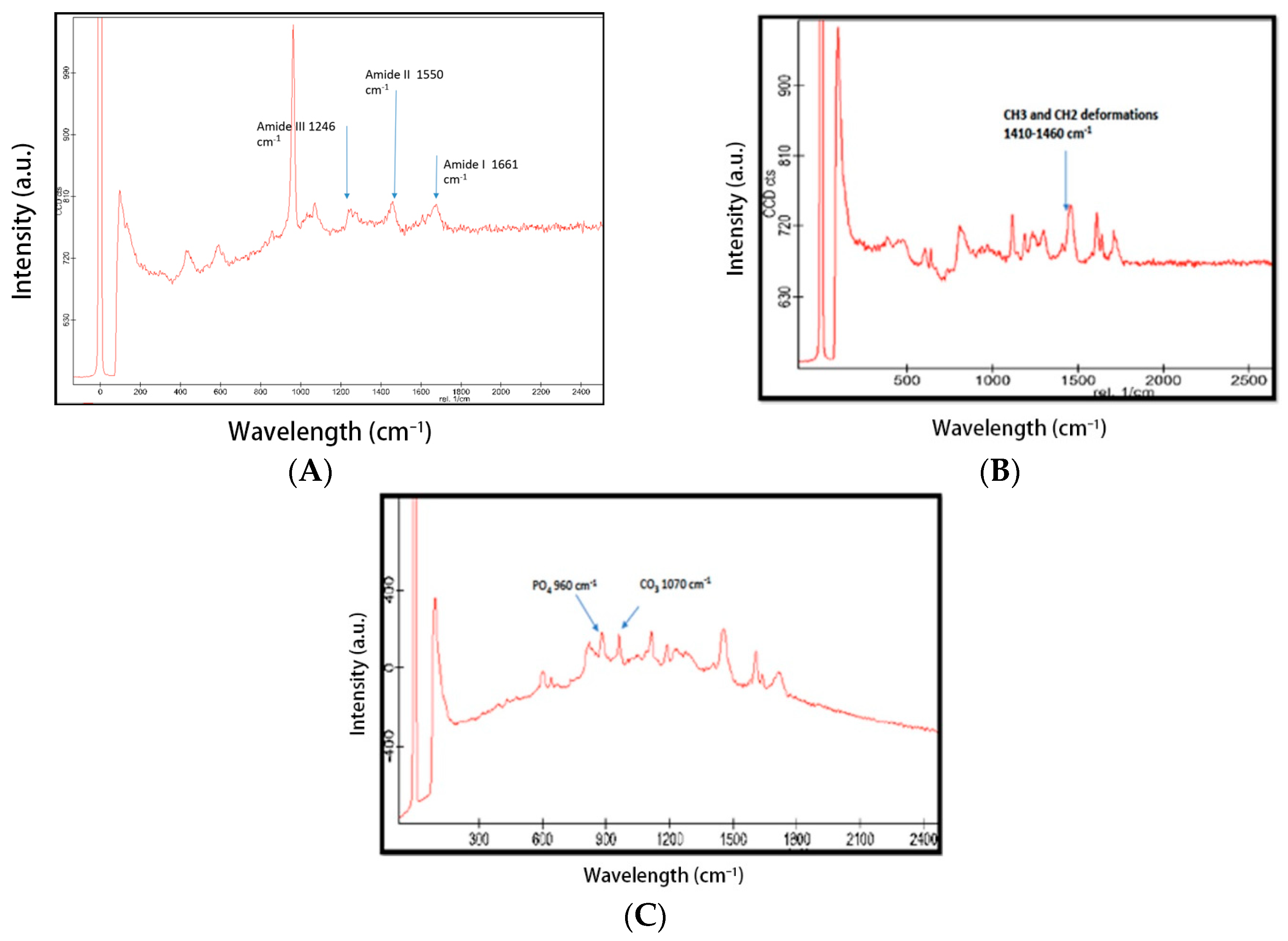 Coatings 10 01181 g006