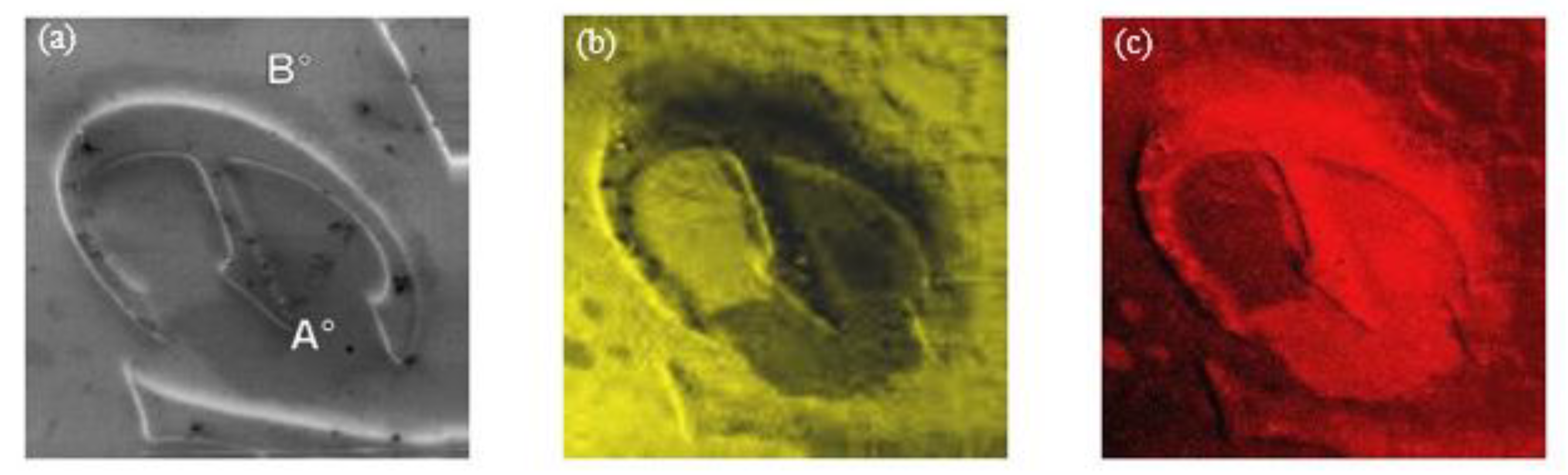Coatings 10 01182 g004a Coatings 10 01182 g004a