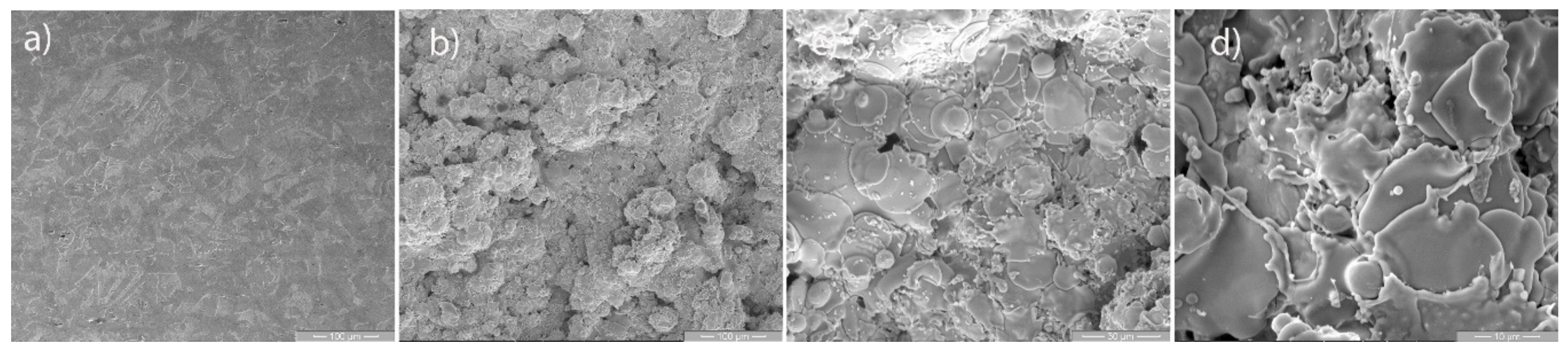 Coatings 10 01186 g003