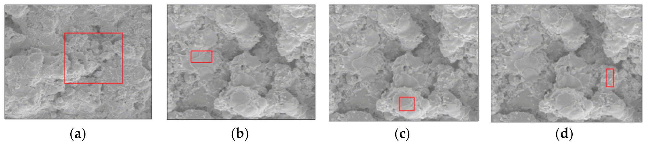 Coatings 10 01186 g005