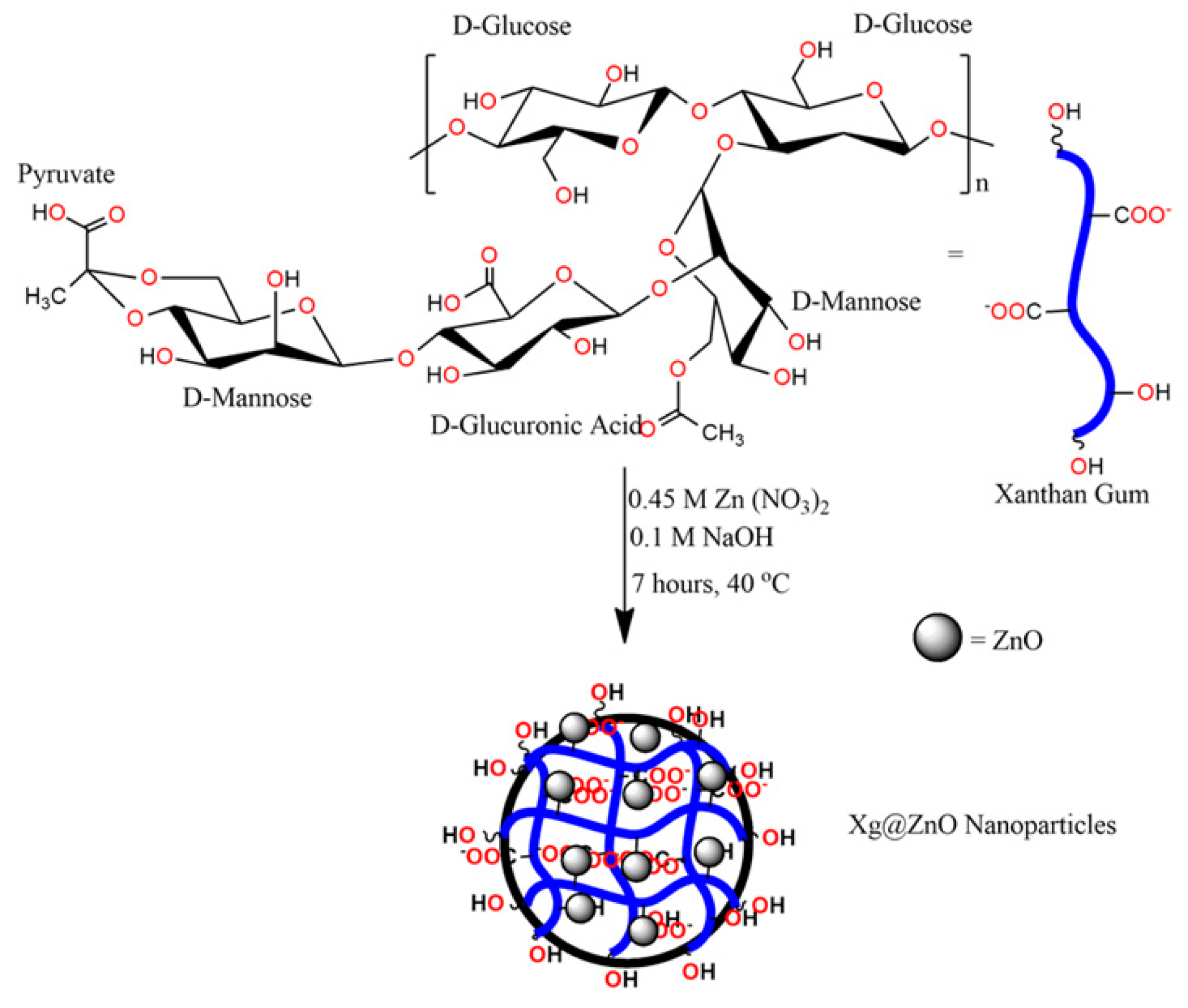 Coatings 10 01190 g002 Coatings 10 01190 g002