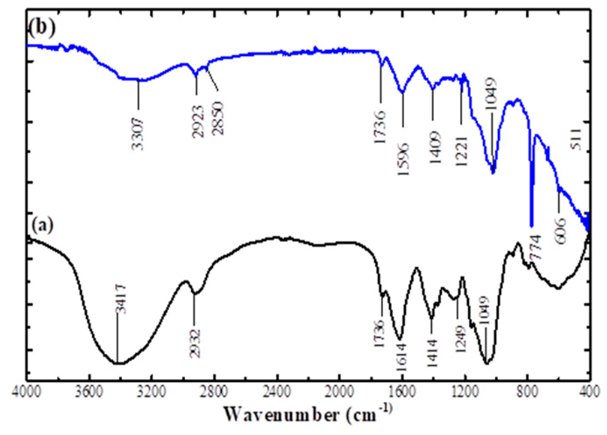 Coatings 10 01190 g003 Coatings 10 01190 g003
