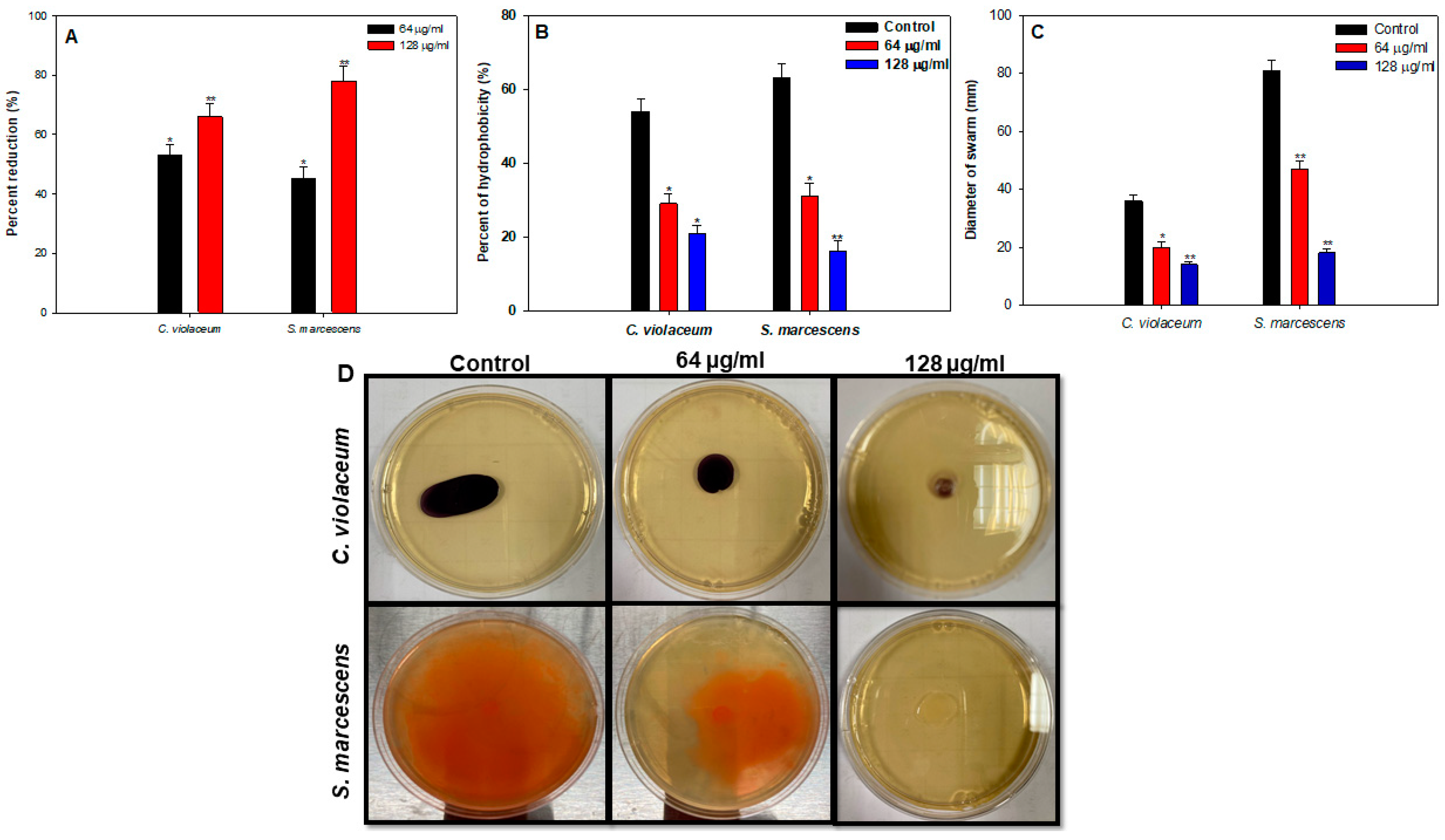 Coatings 10 01190 g010 Coatings 10 01190 g010
