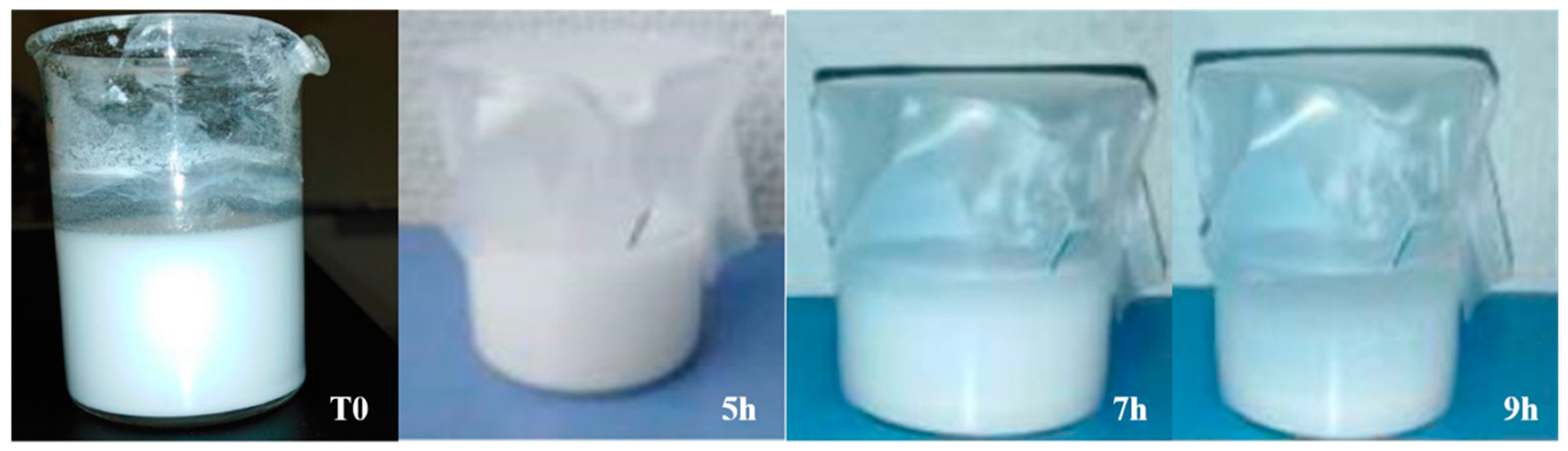 Coatings 10 01192 g008