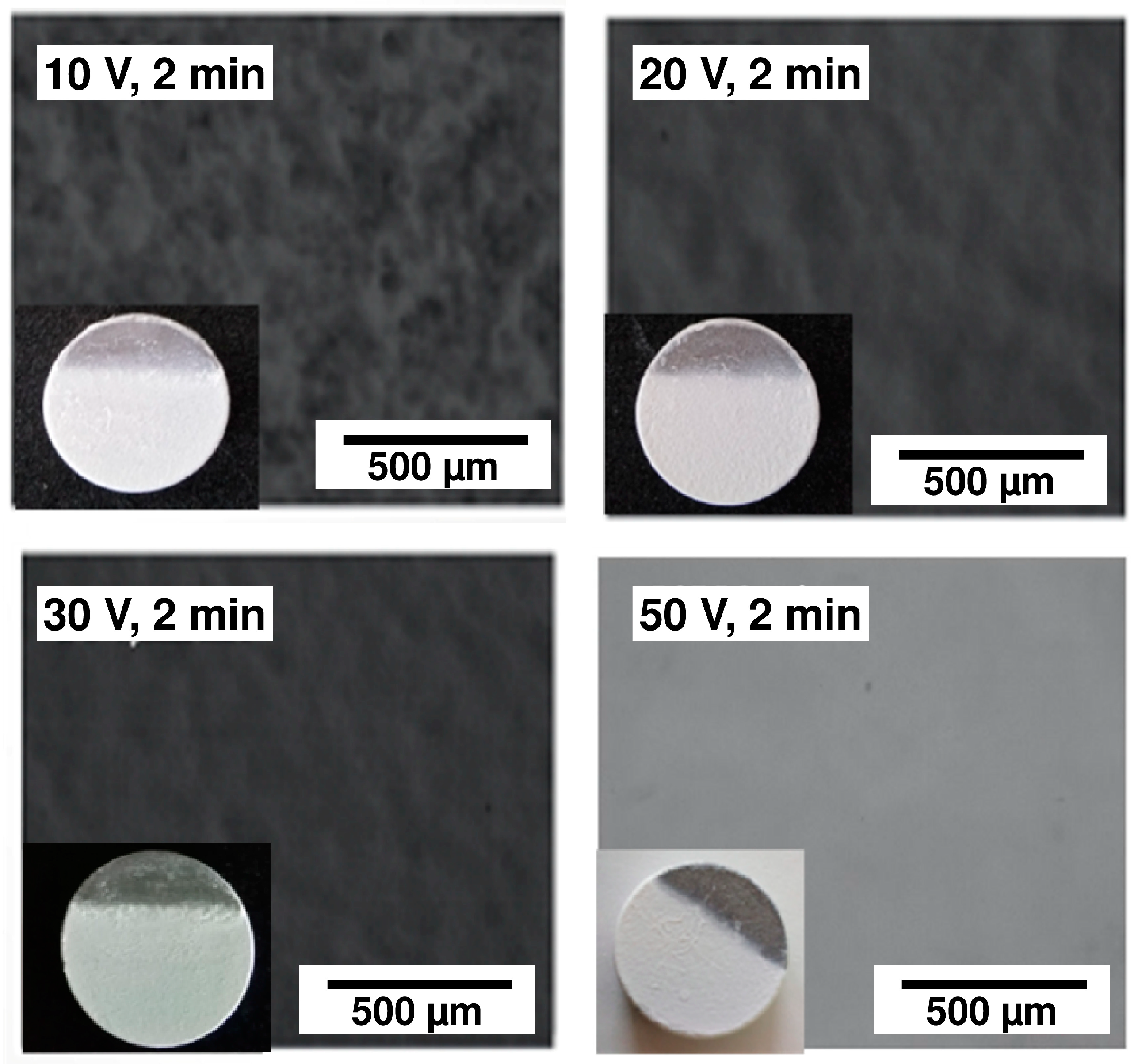 Coatings 10 01192 g009
