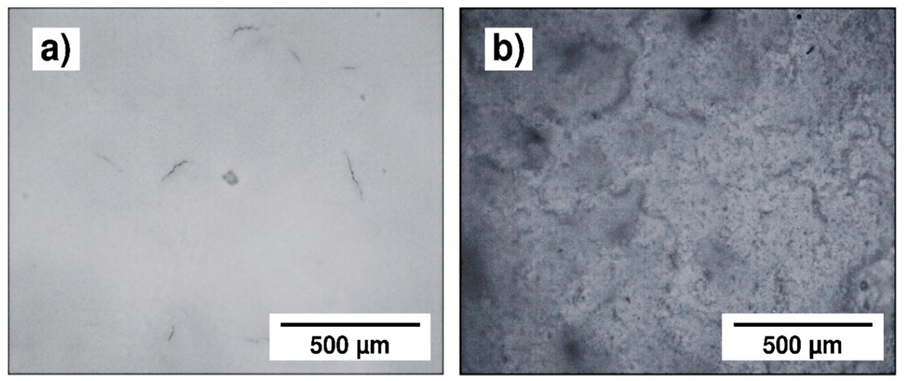 Coatings 10 01192 g010