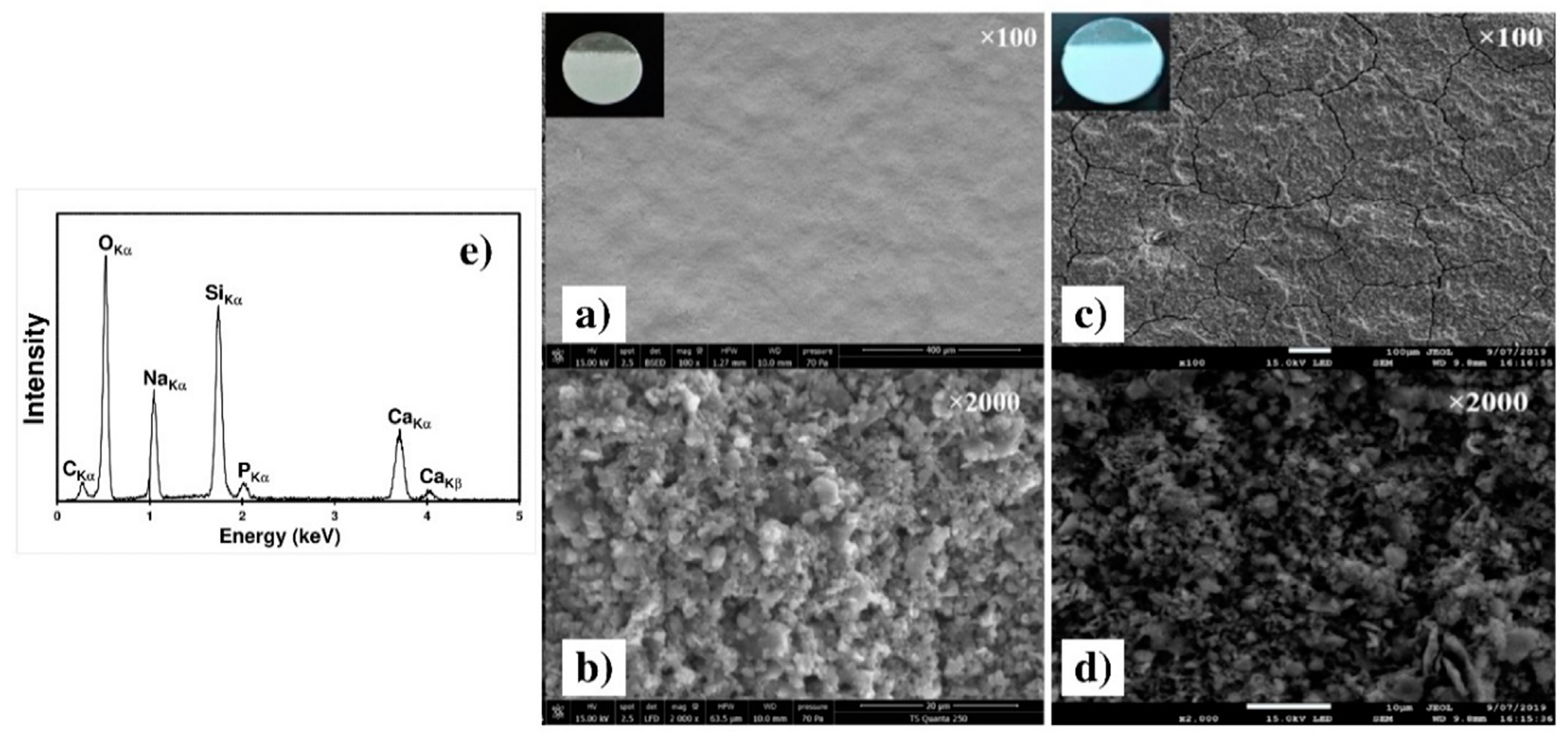 Coatings 10 01192 g011
