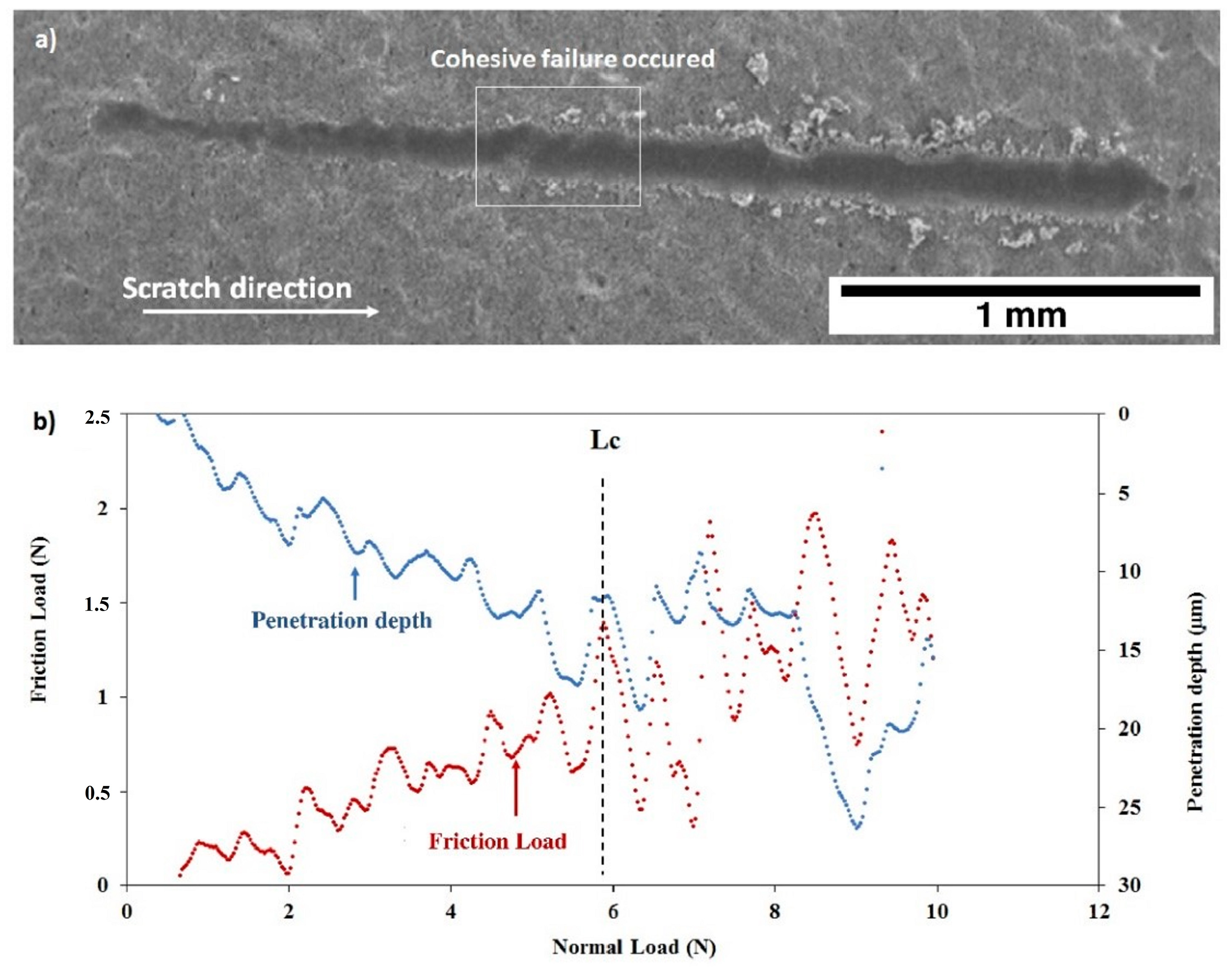 Coatings 10 01192 g016
