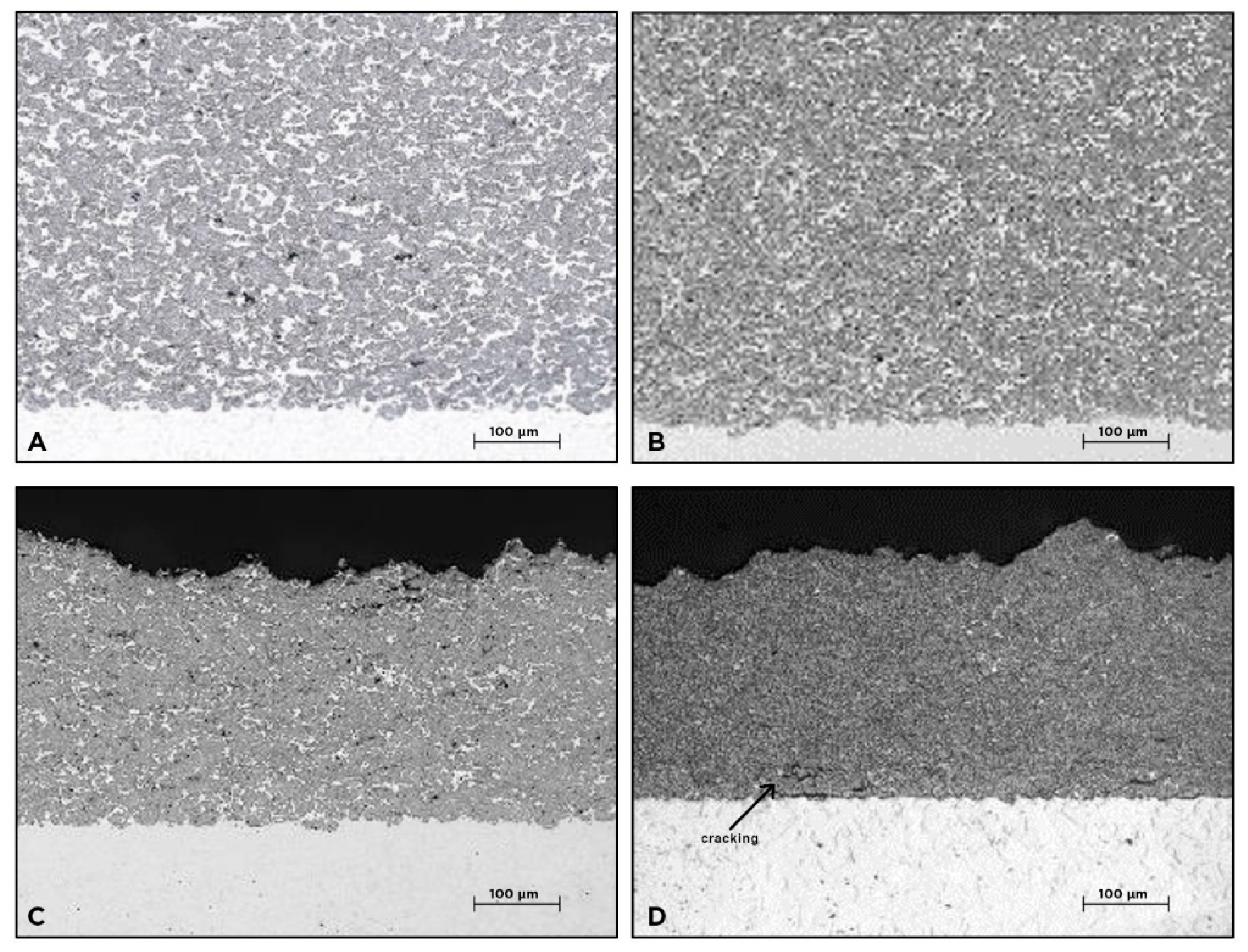 Coatings 10 01196 g003