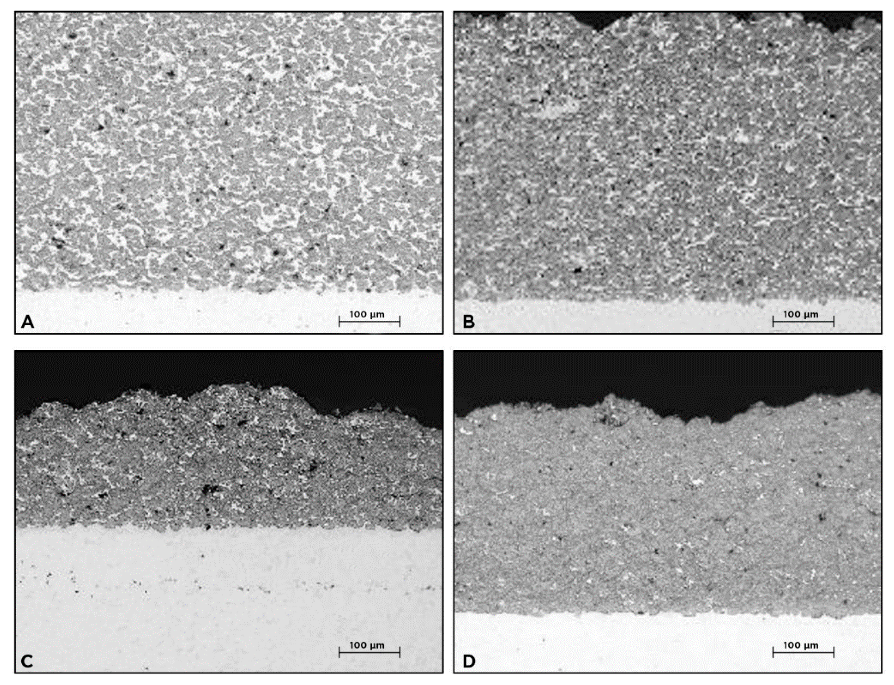 Coatings 10 01196 g004