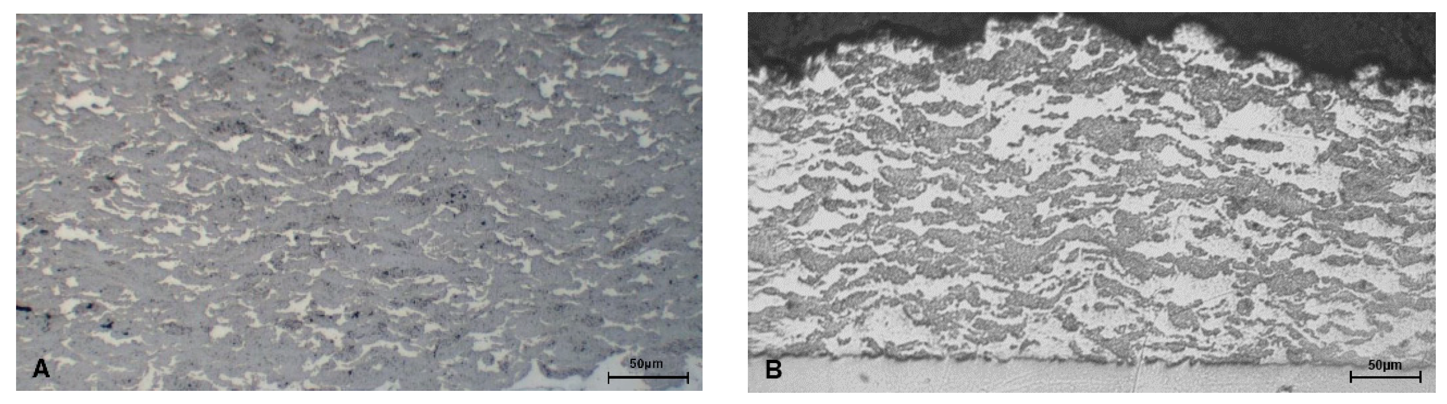 Coatings 10 01196 g005