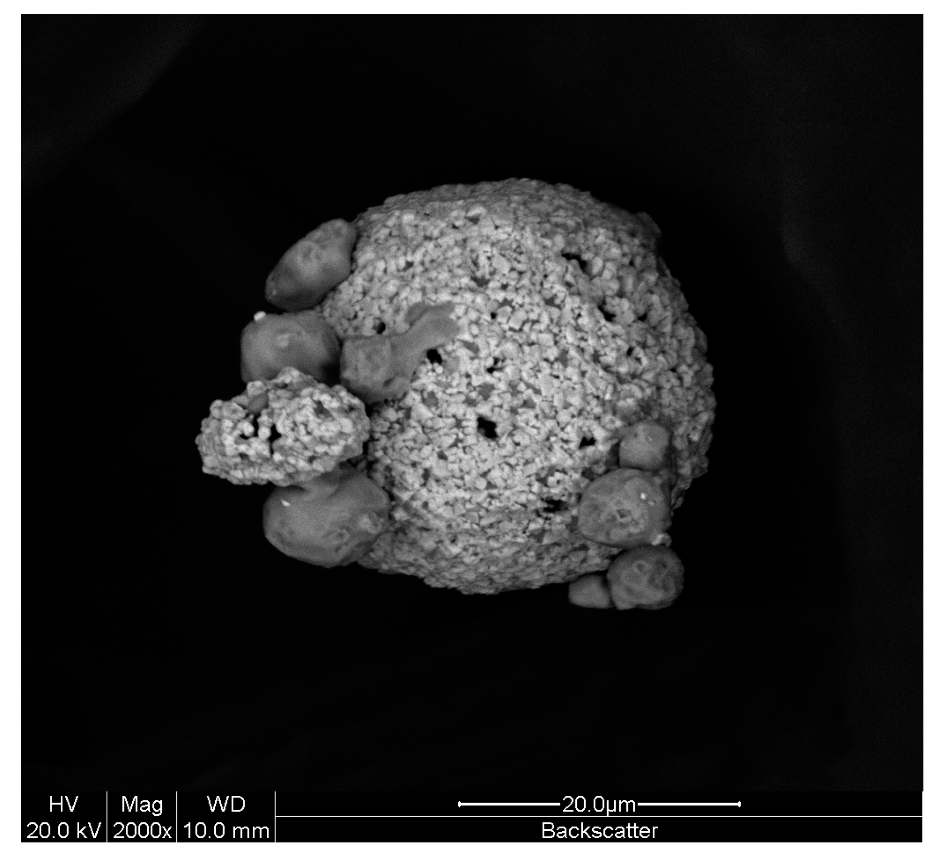 Coatings 10 01196 g006