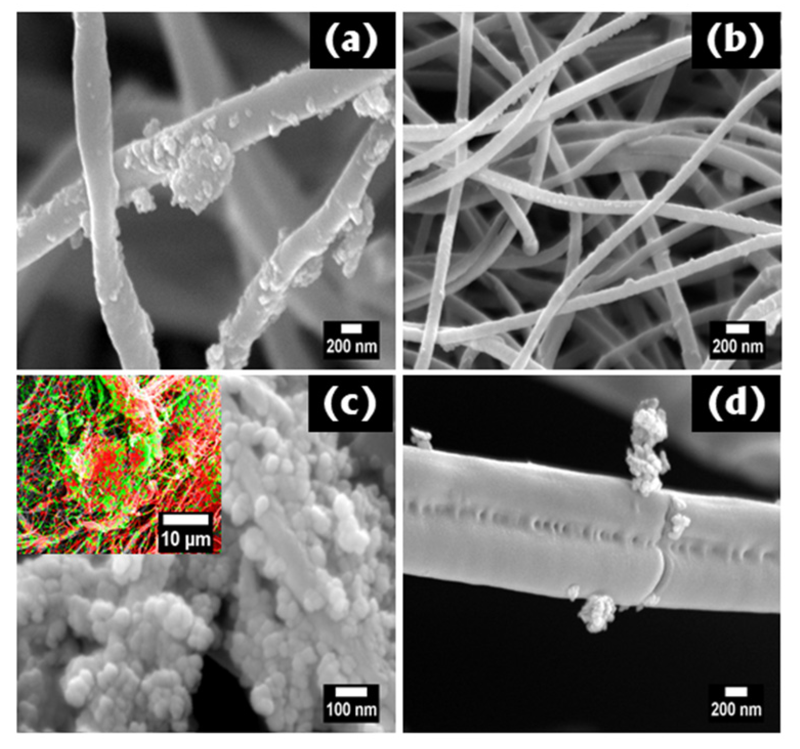 Coatings 10 01199 g002