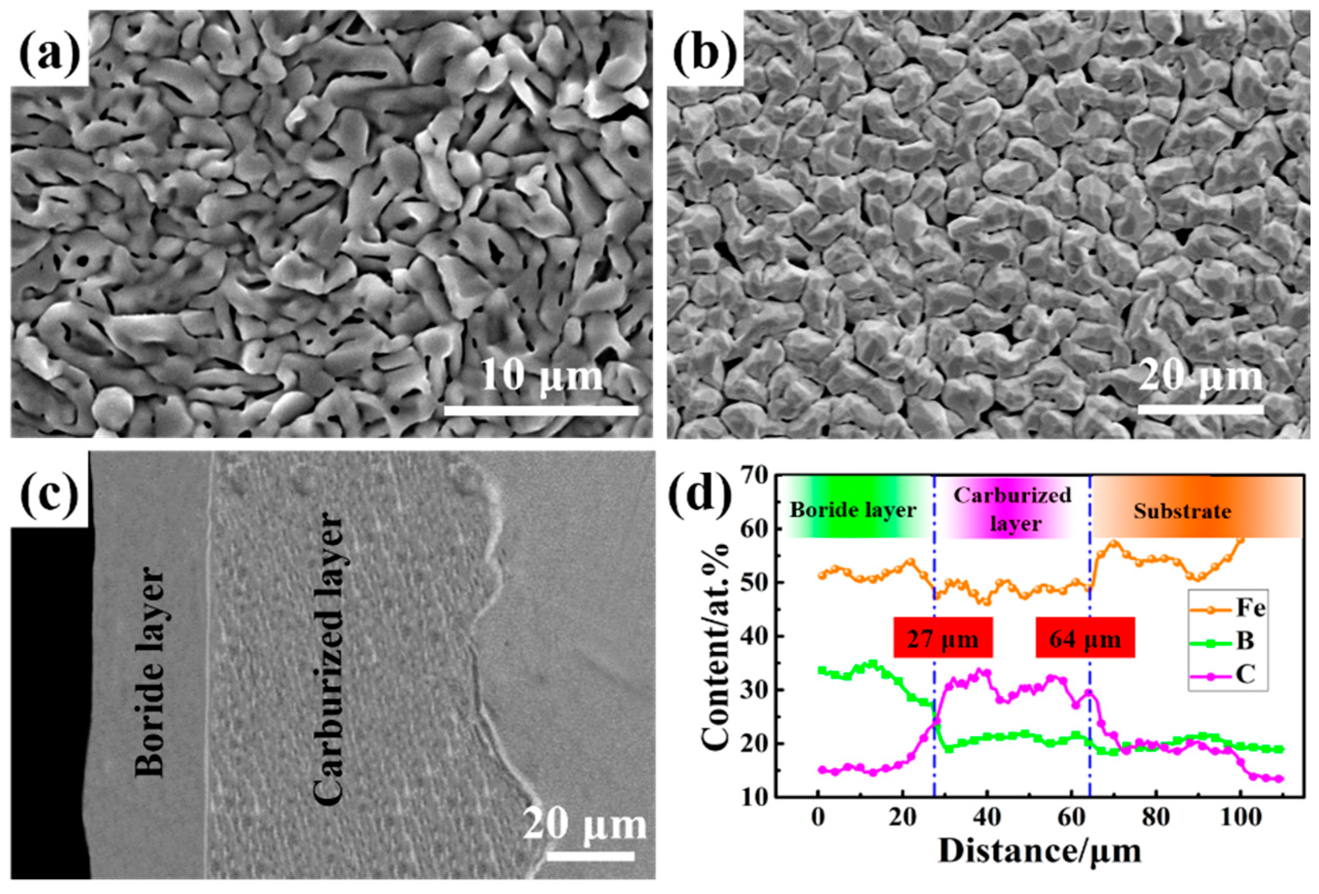 Coatings 10 01205 g002