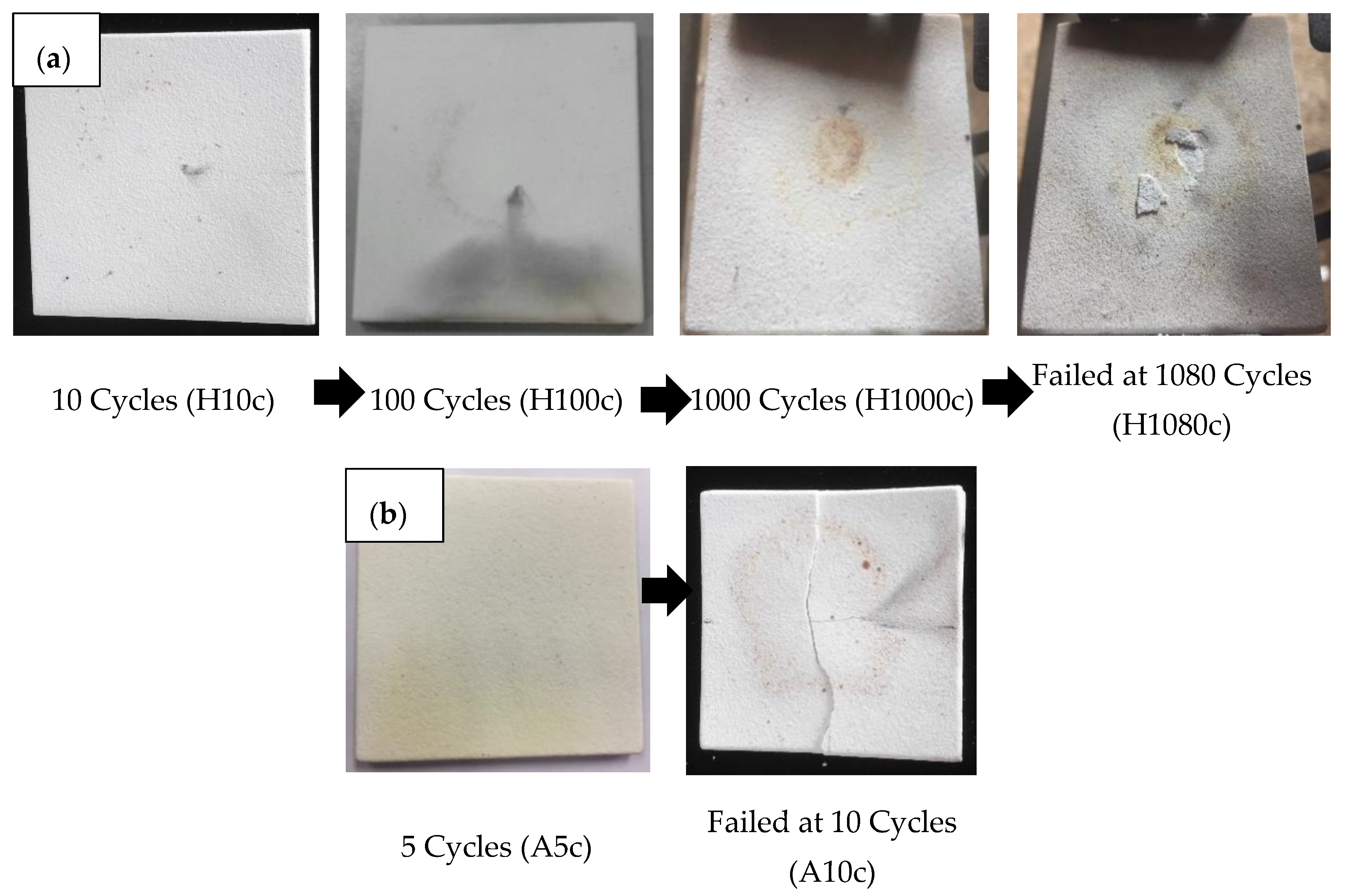 Coatings 10 01206 g001