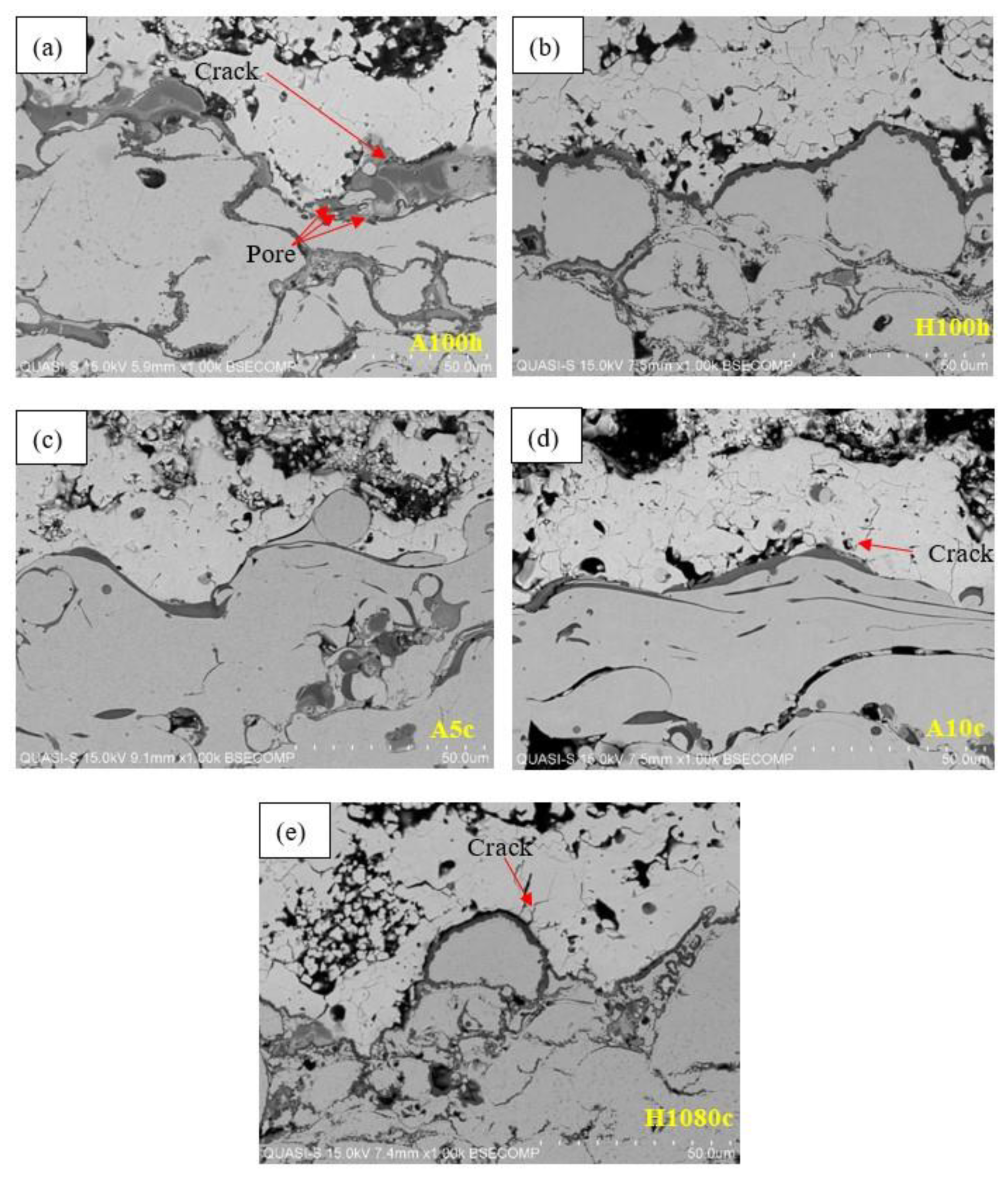 Coatings 10 01206 g002