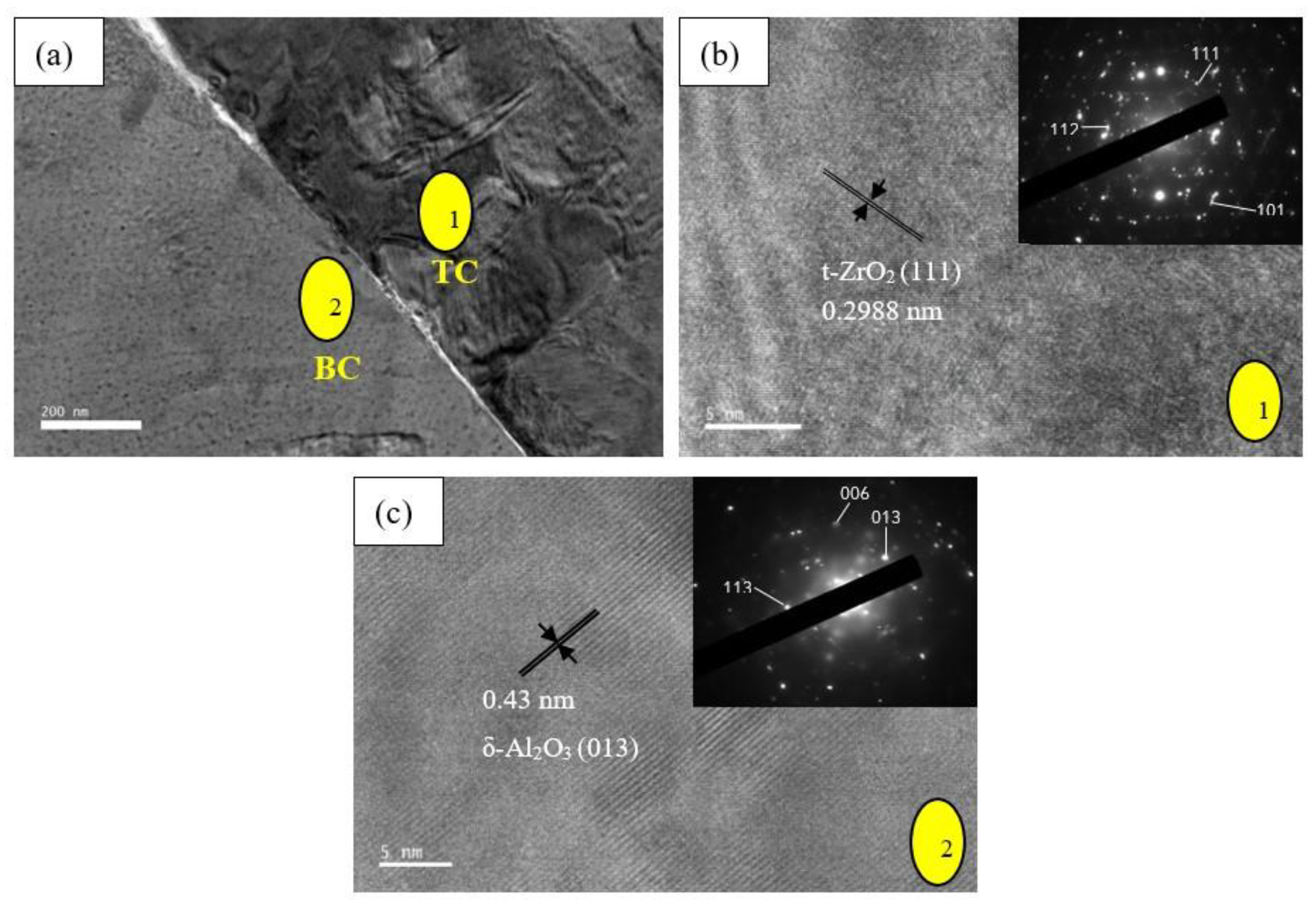 Coatings 10 01206 g006