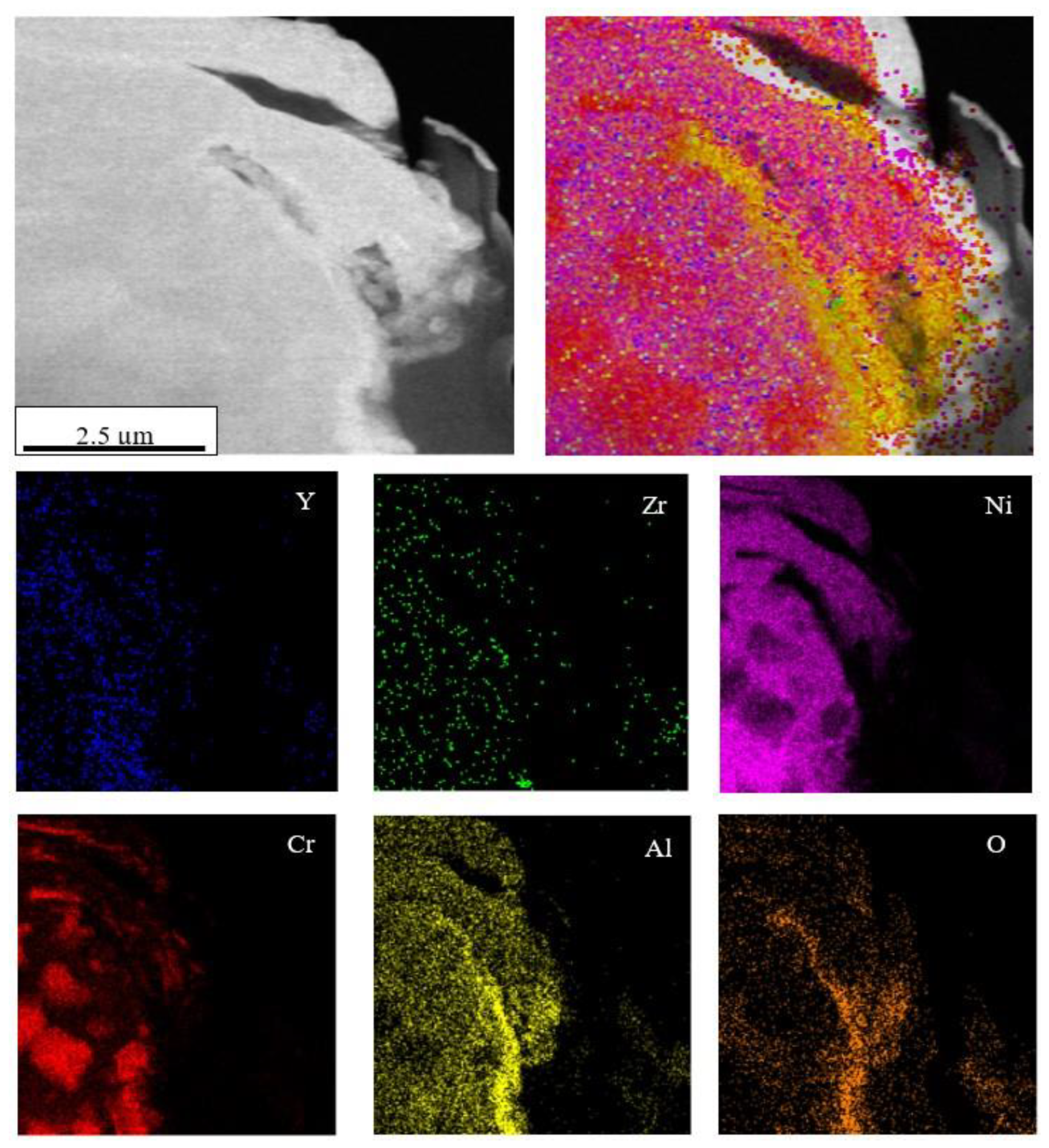 Coatings 10 01206 g007