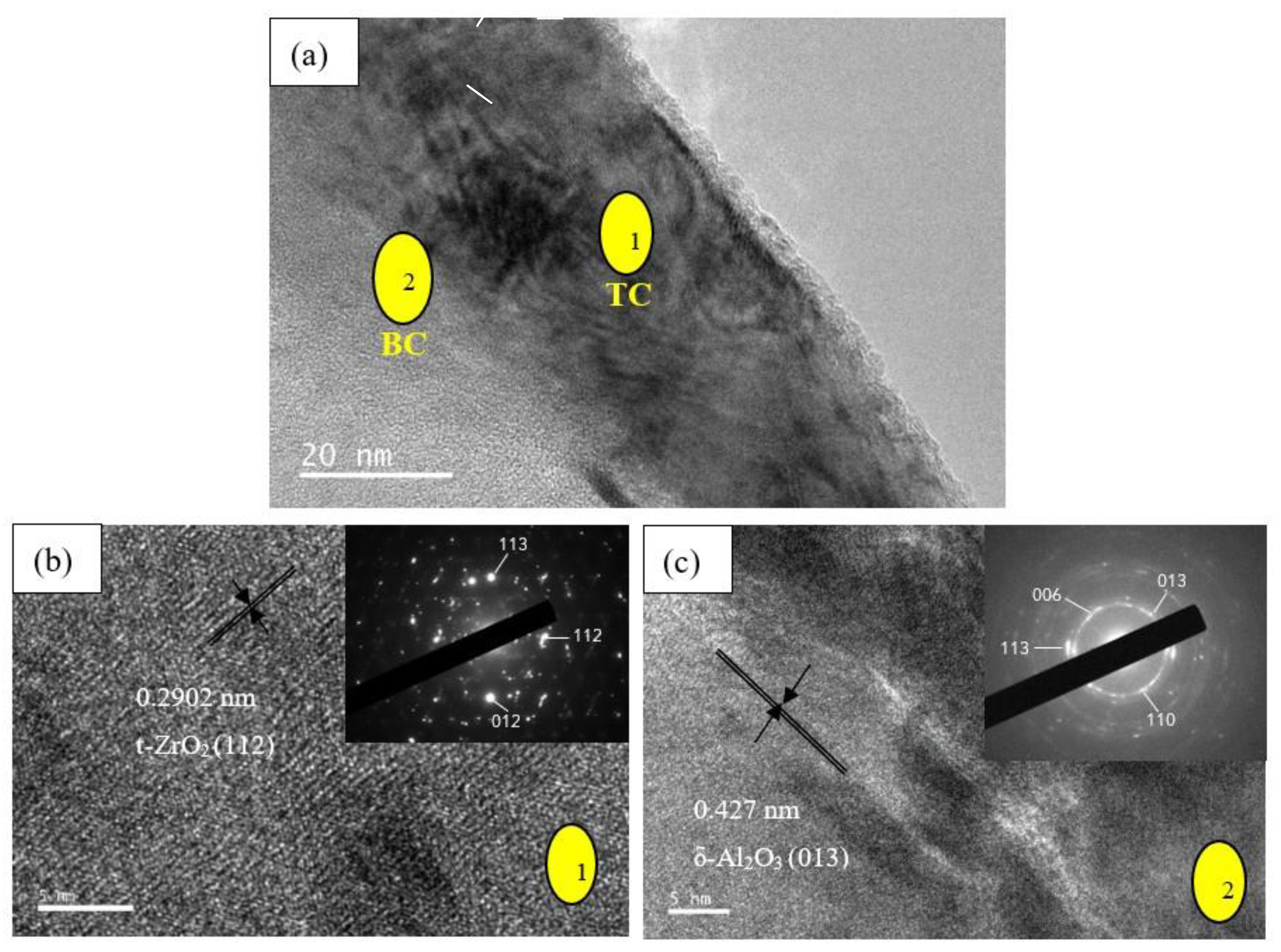Coatings 10 01206 g008