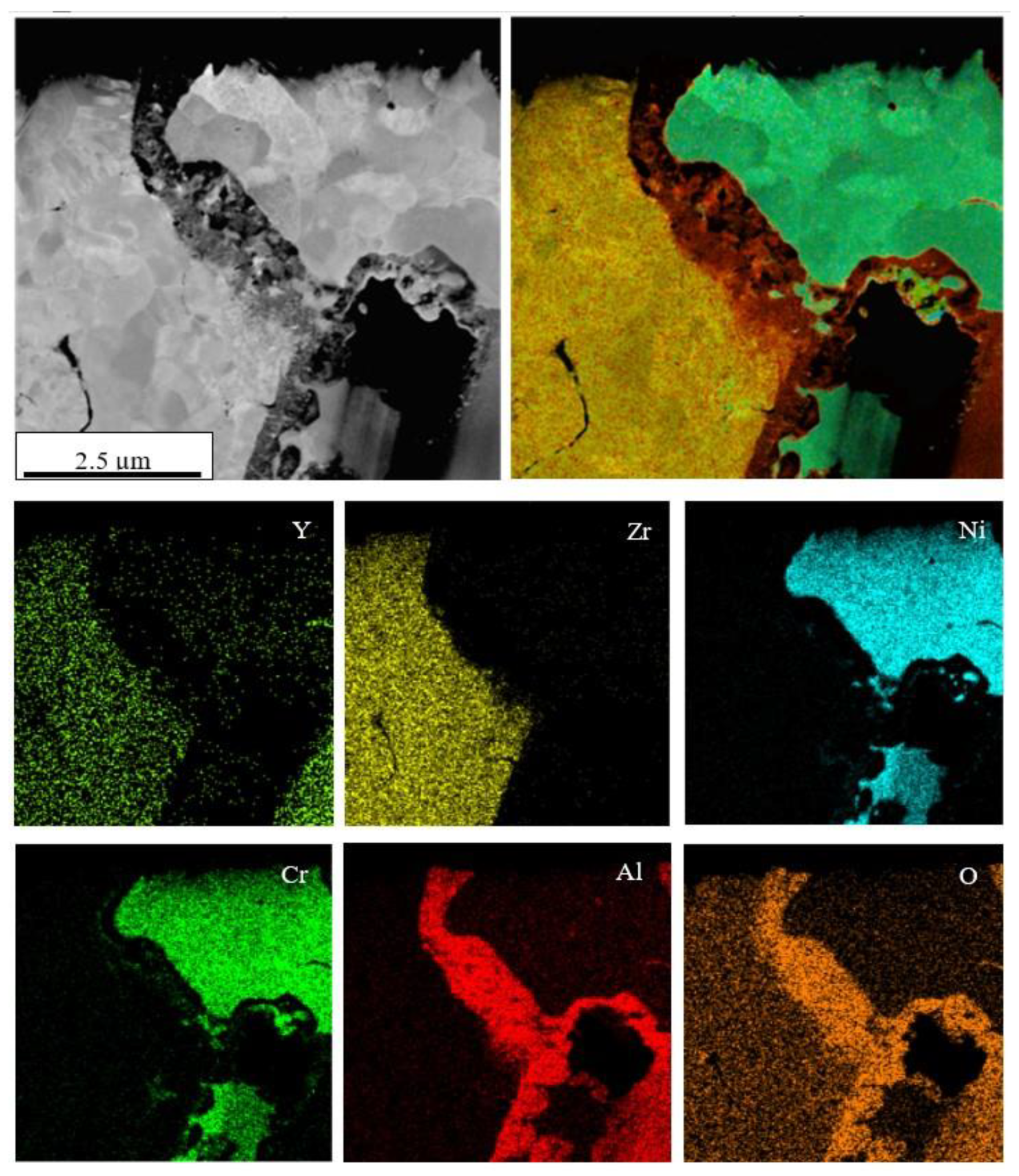 Coatings 10 01206 g009