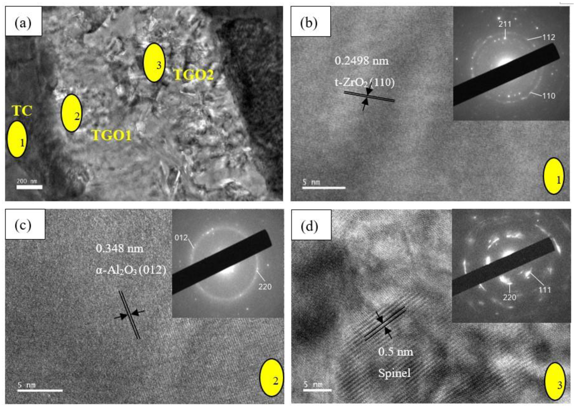 Coatings 10 01206 g010