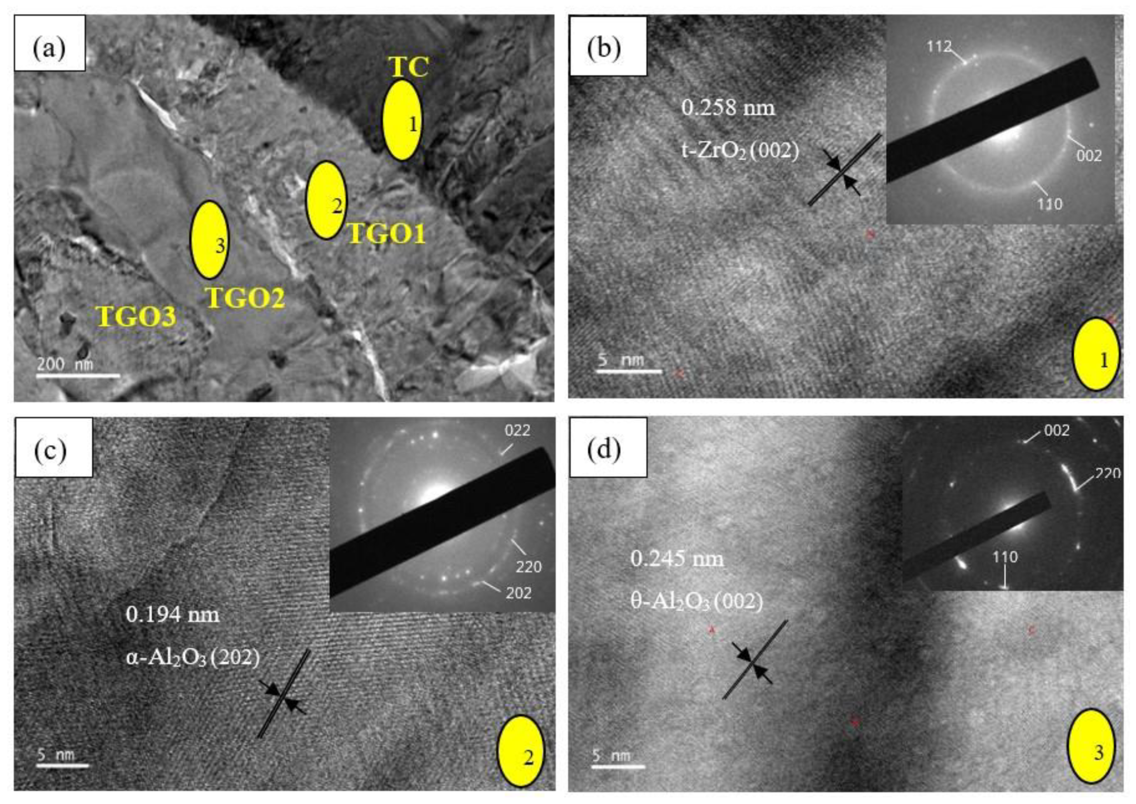 Coatings 10 01206 g012