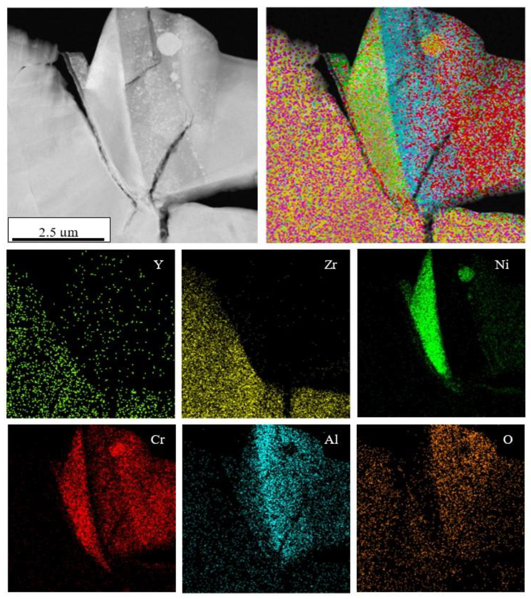 Coatings 10 01206 g013