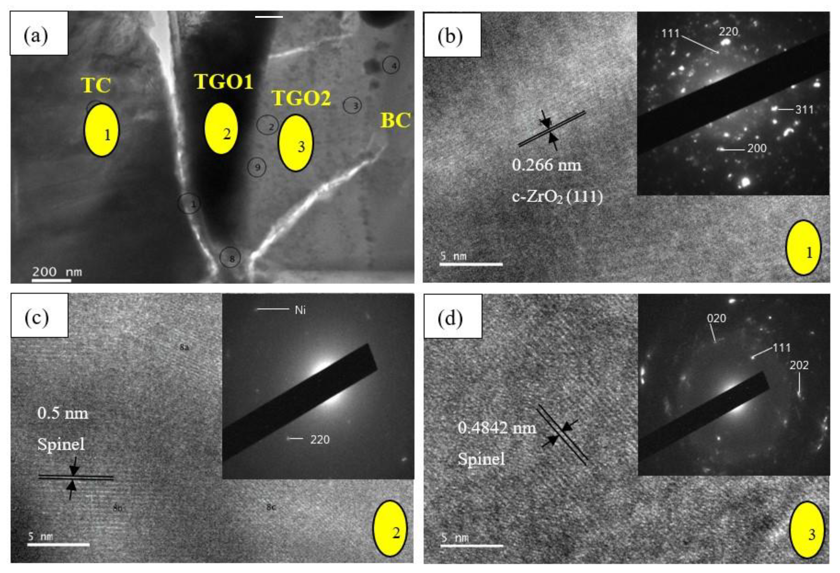 Coatings 10 01206 g014