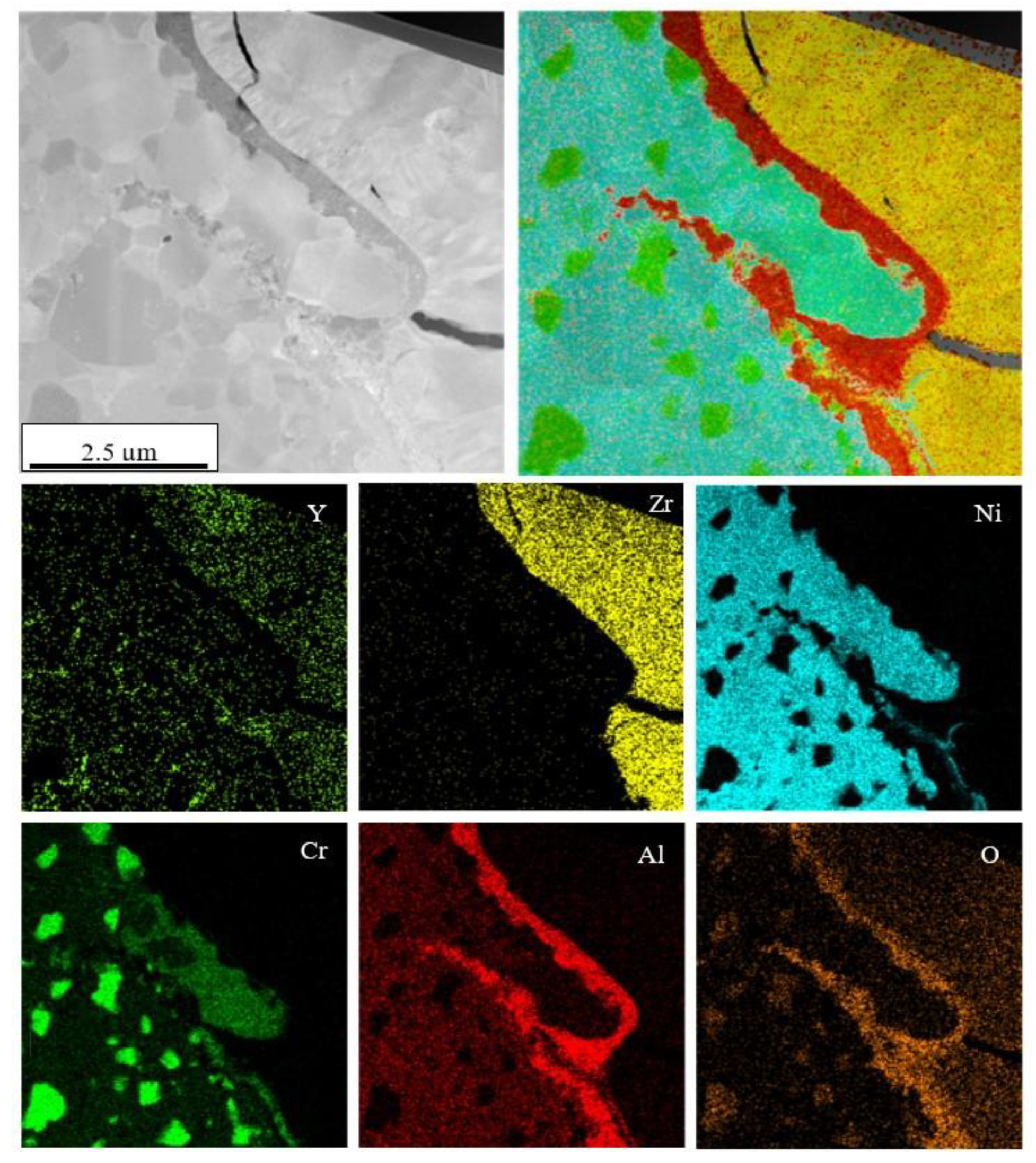 Coatings 10 01206 g015