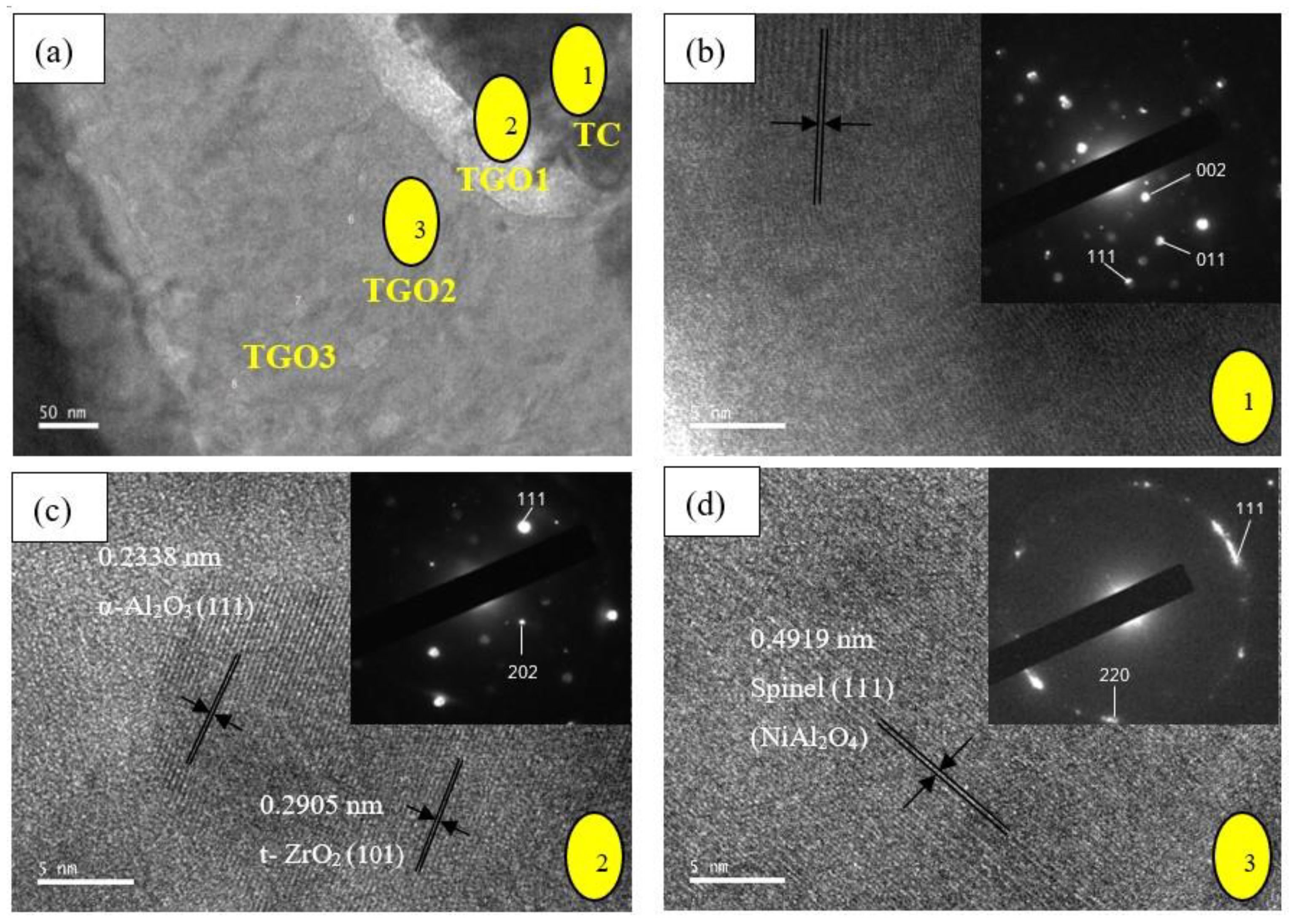 Coatings 10 01206 g016