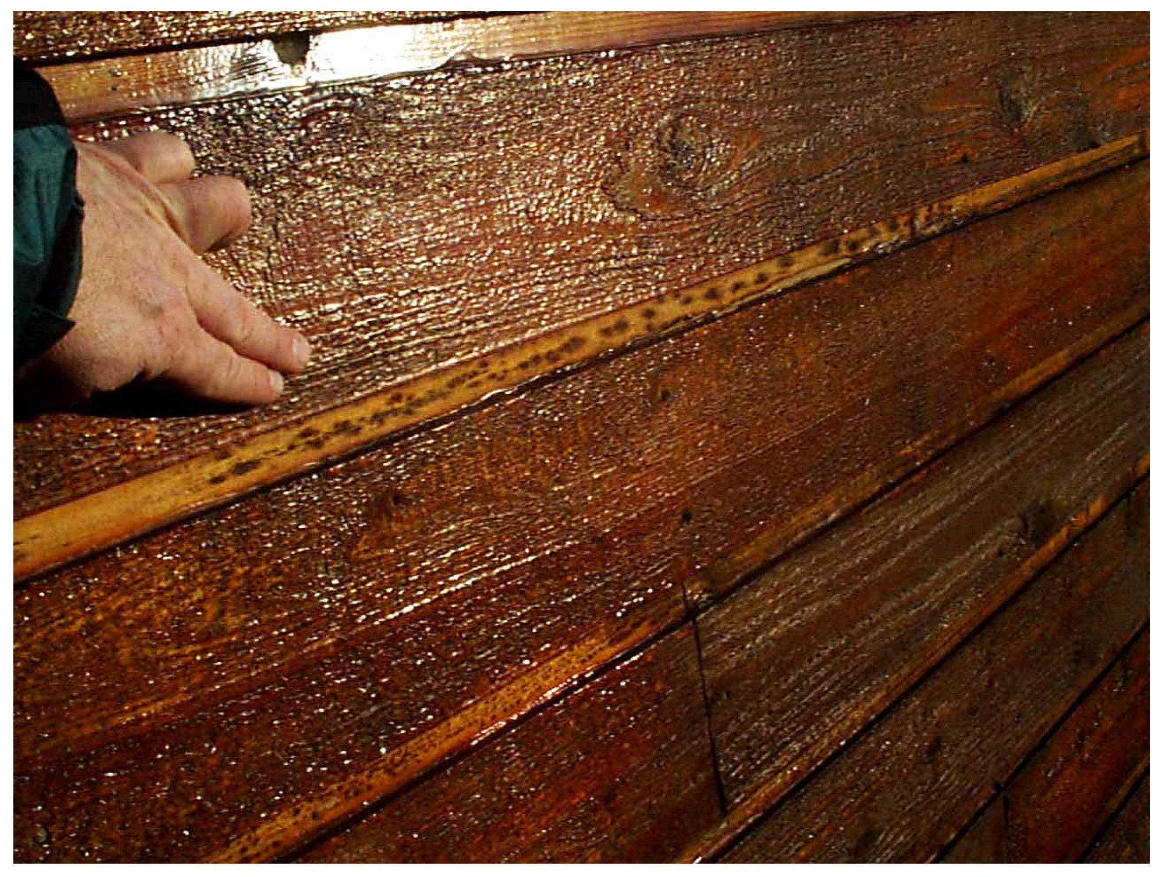 Coatings 10 01210 g004