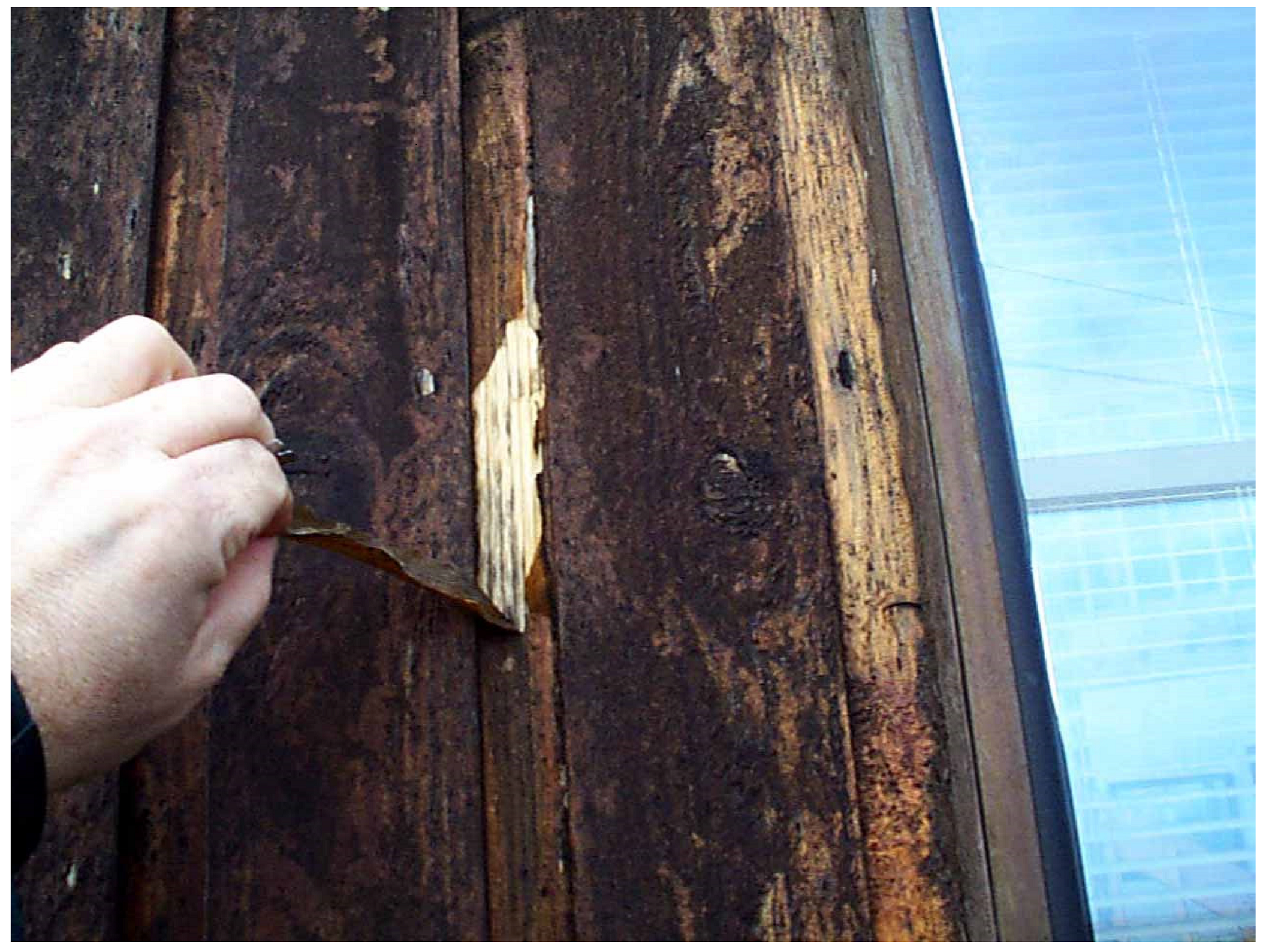 Coatings 10 01210 g005