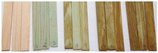 Coatings 10 01213 g0a1