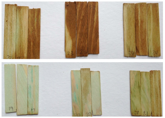 Coatings 10 01213 g0a2