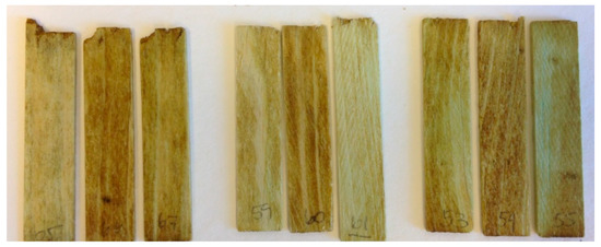 Coatings 10 01213 g0a3