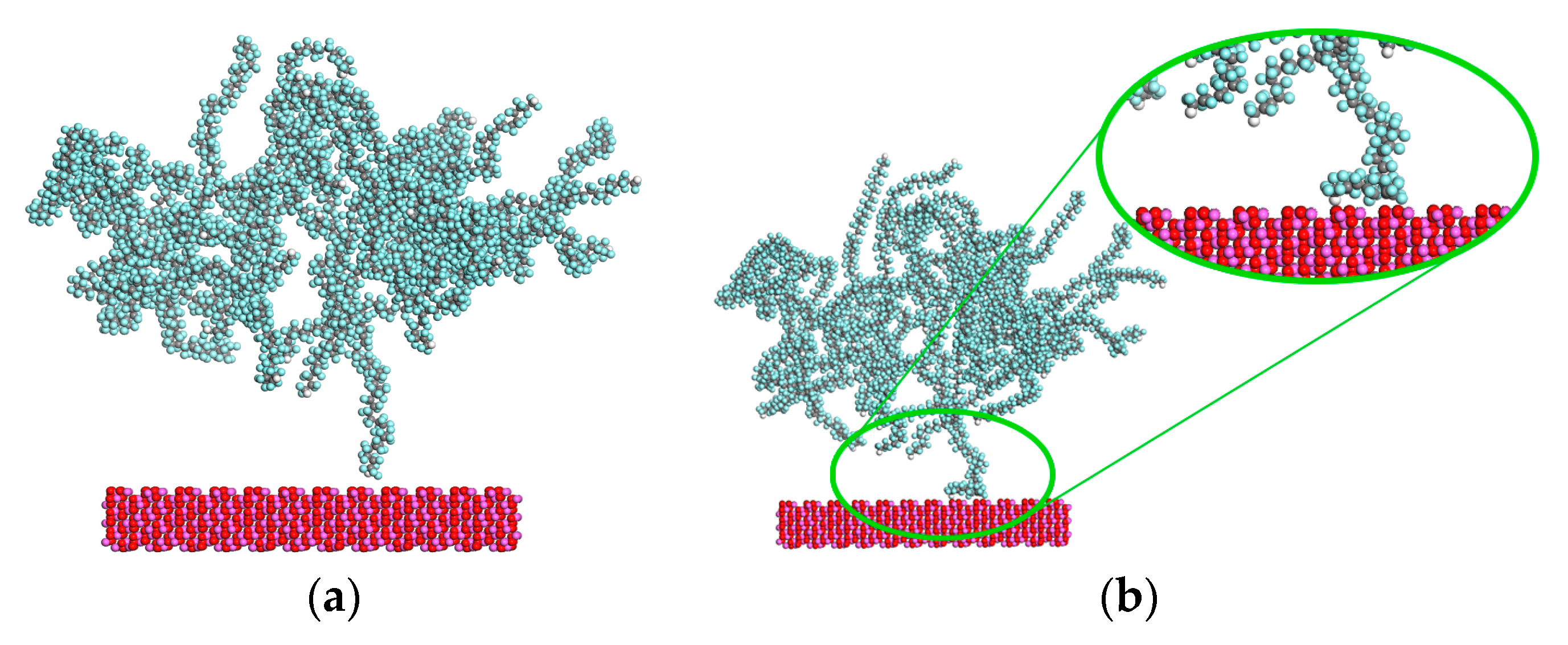 Coatings 10 01214 g007