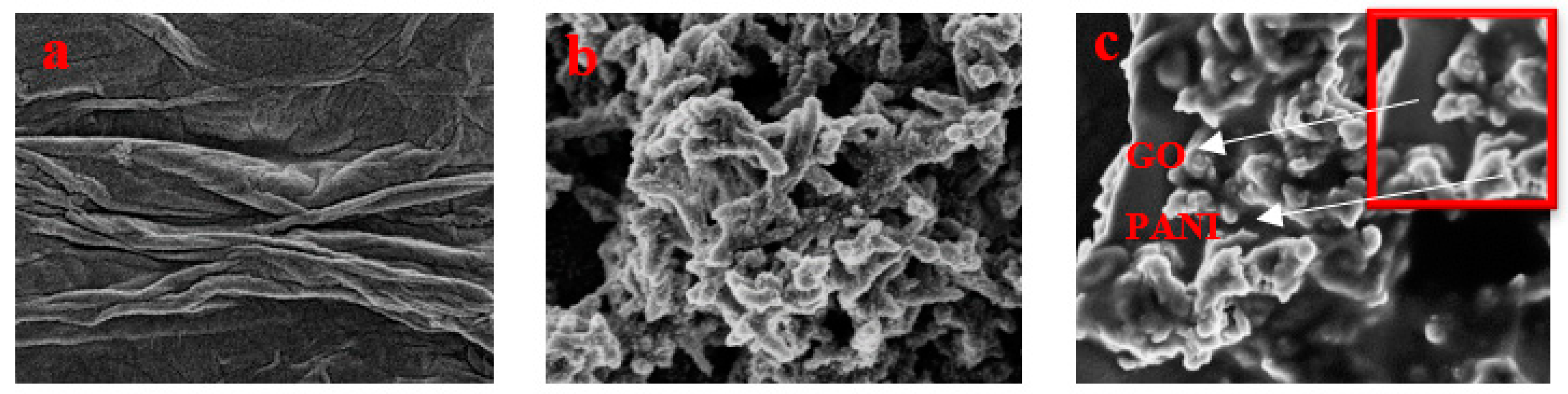 Coatings 10 01215 g002