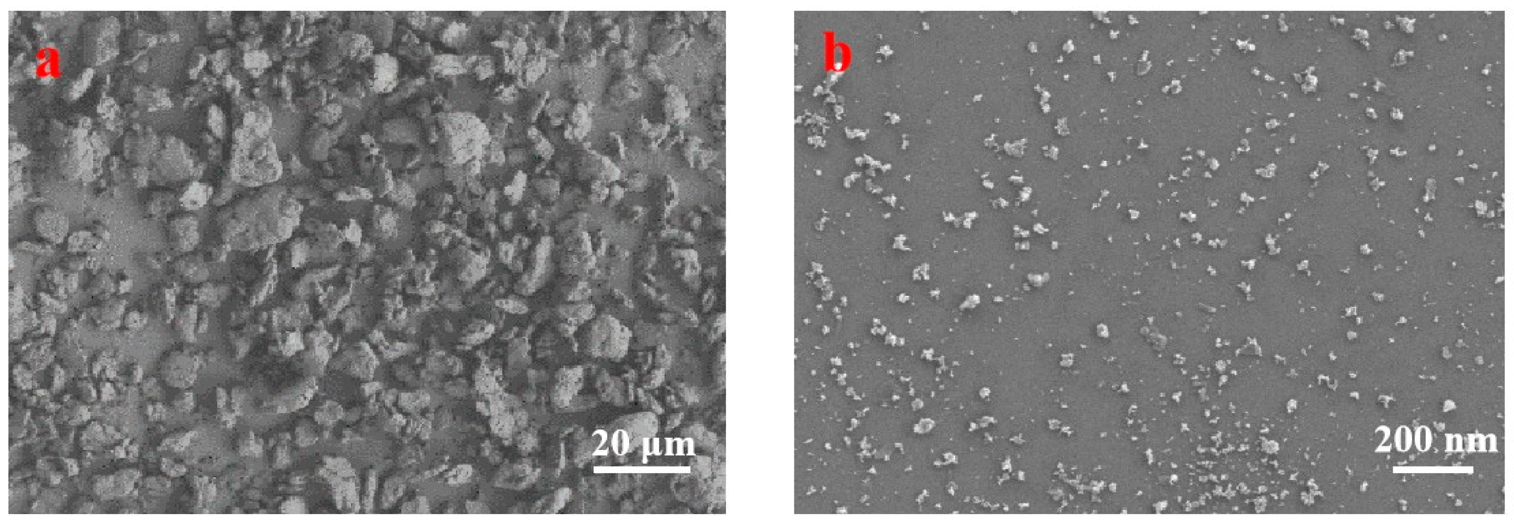 Coatings 10 01226 g002