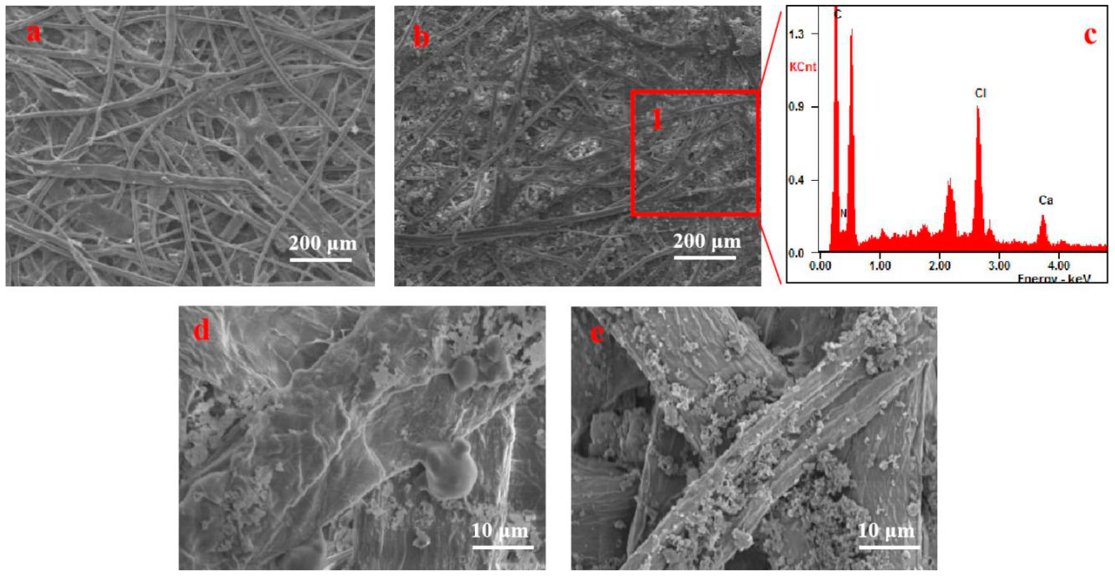 Coatings 10 01226 g009