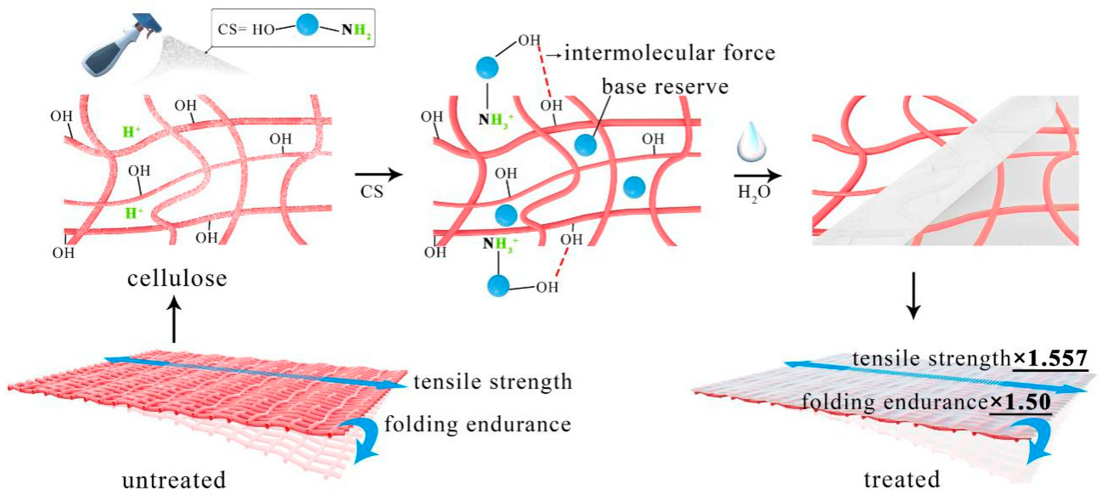 Coatings 10 01226 g012