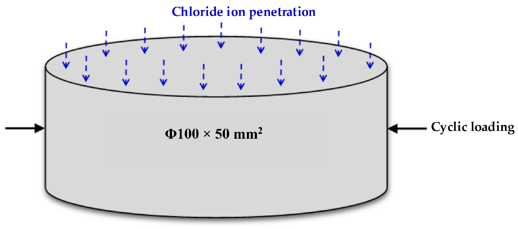 Coatings 10 01227 g001