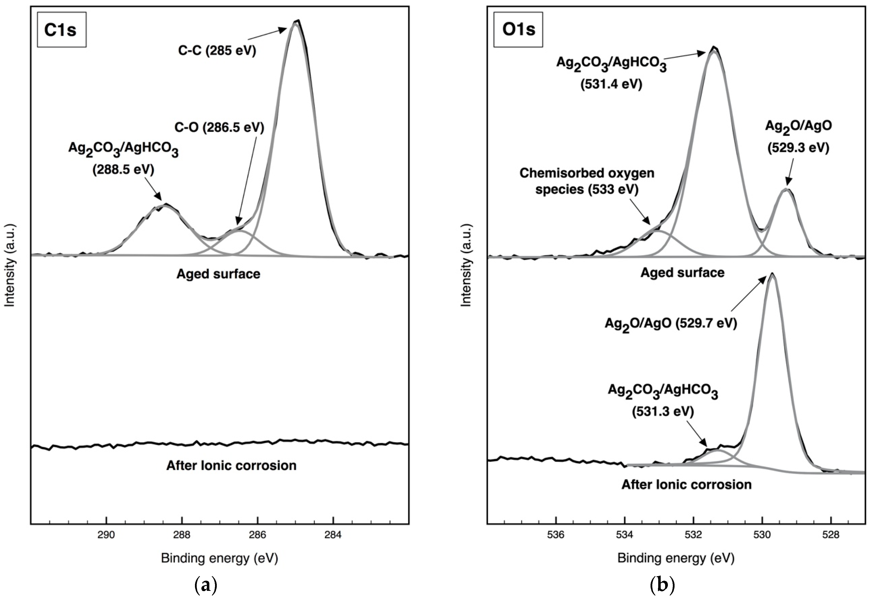 Coatings 10 01234 g003