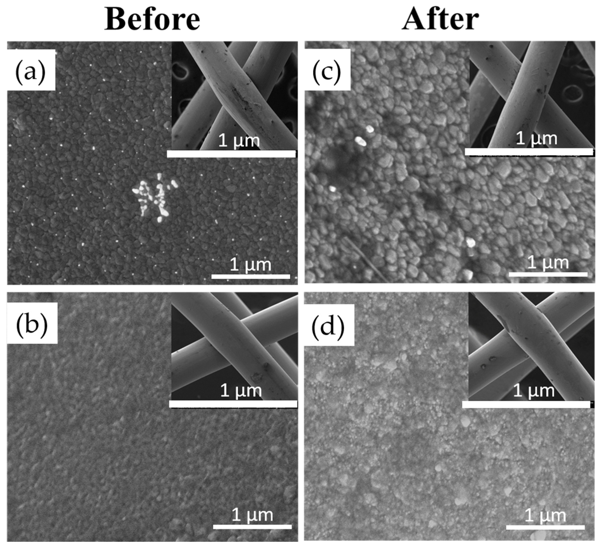 Coatings 10 01234 g007