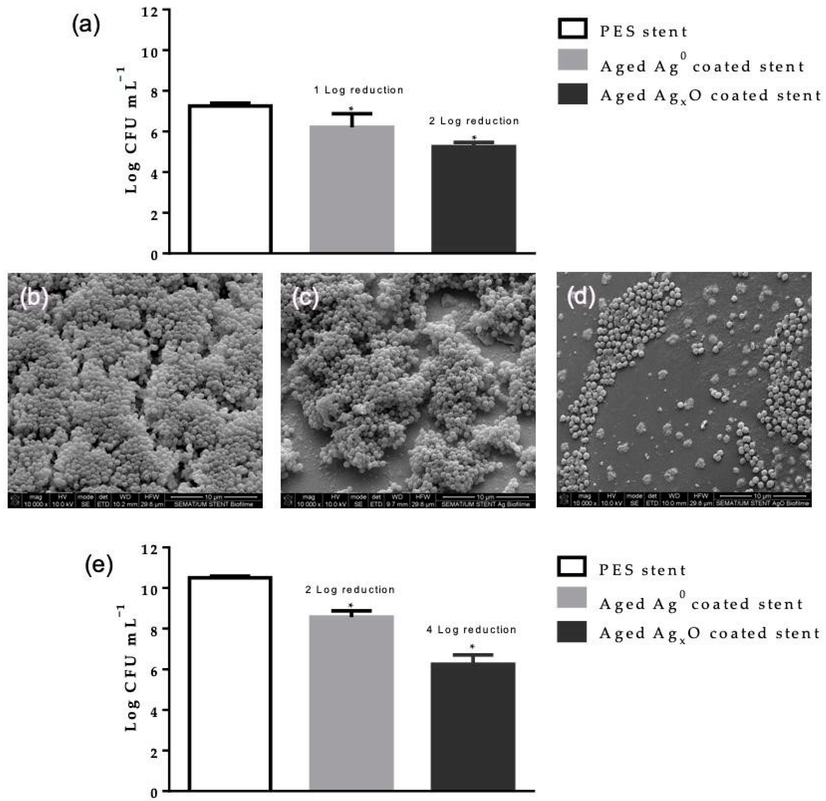 Coatings 10 01234 g009
