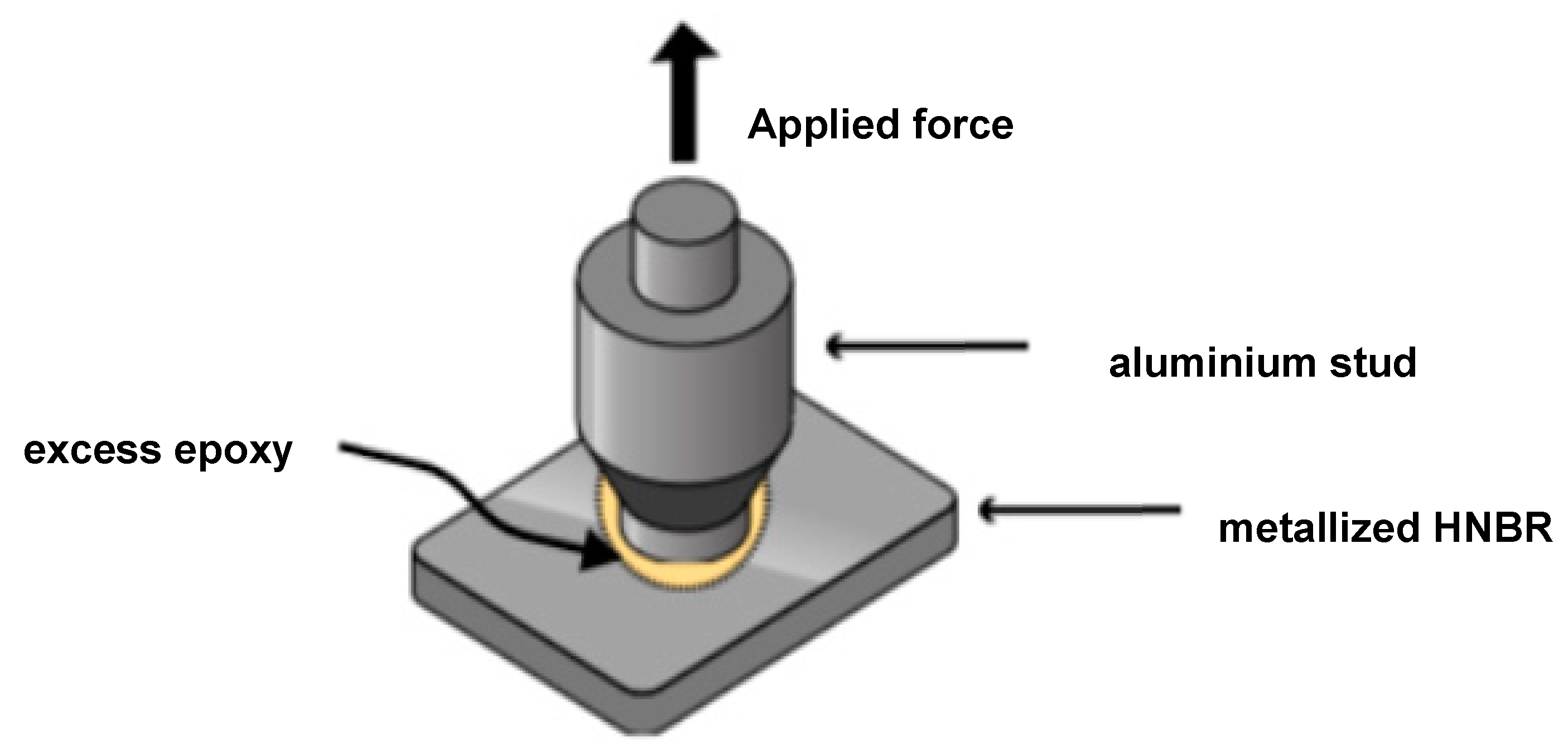 Coatings 10 01237 g001