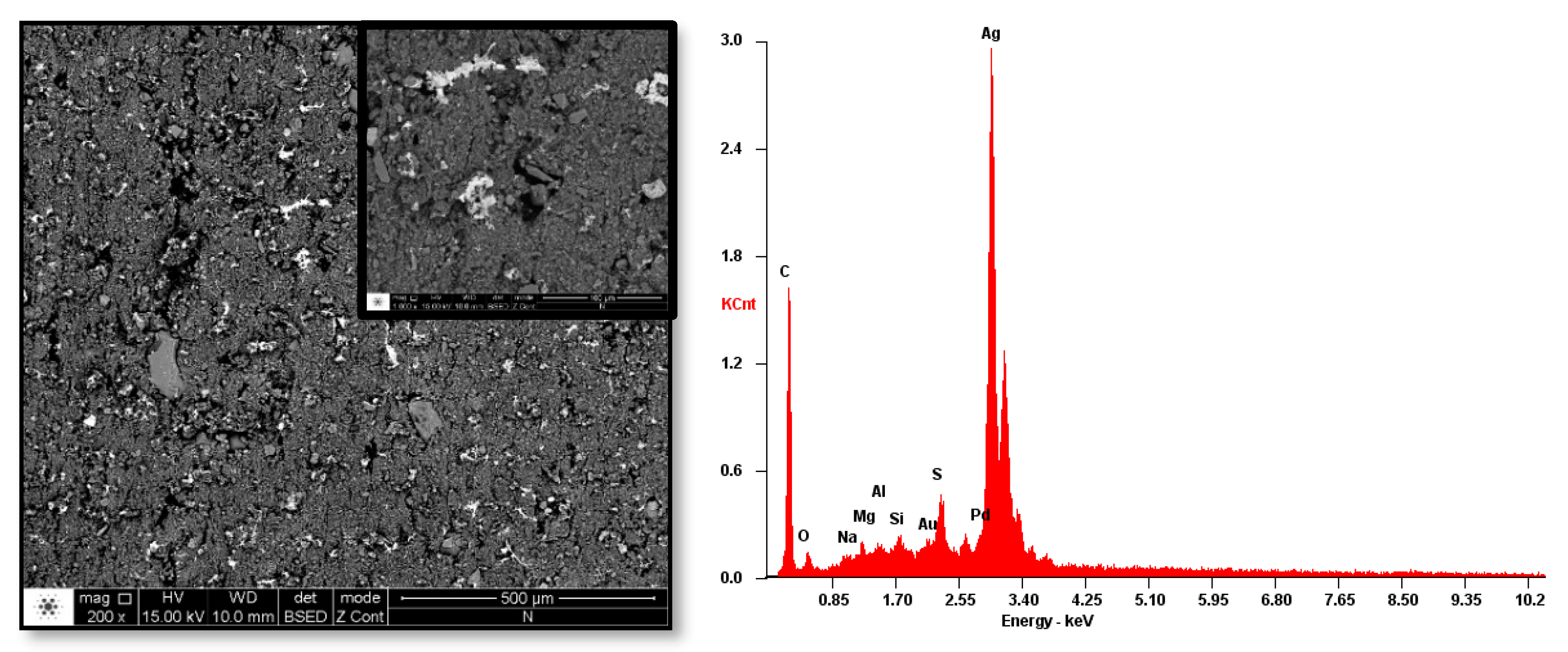 Coatings 10 01237 g005