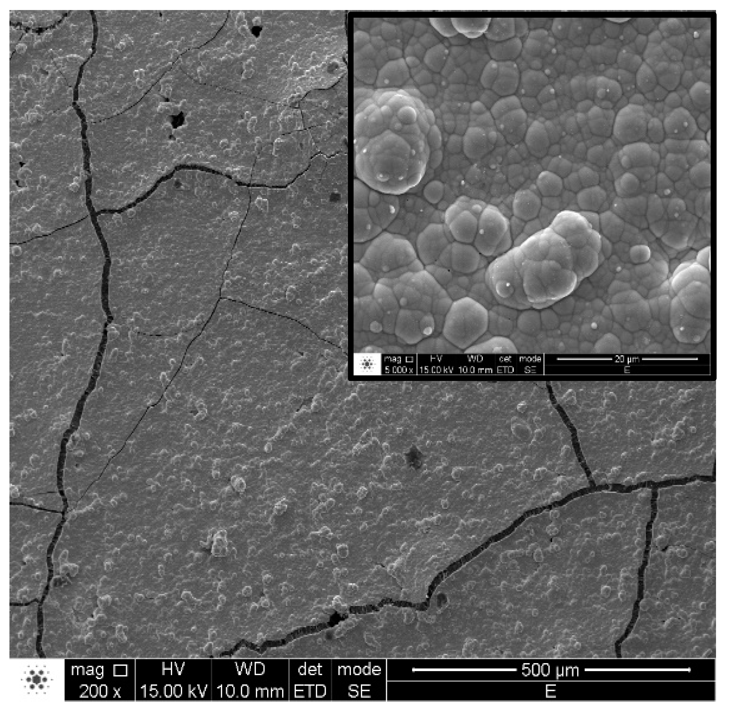 Coatings 10 01237 g006